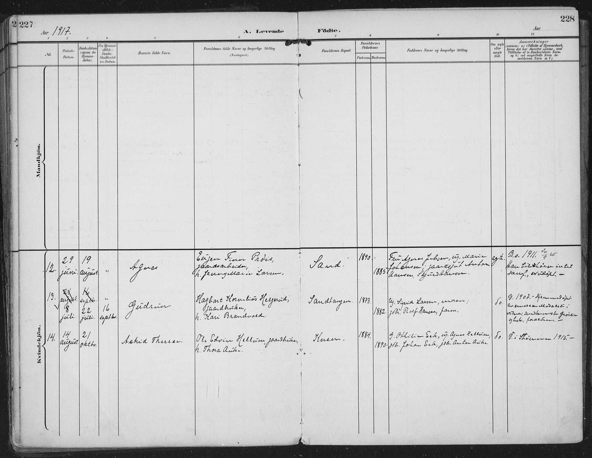 Strømm kirkebøker, AV/SAKO-A-322/F/Fa/L0005: Parish register (official) no. I 5, 1898-1919, p. 227-228