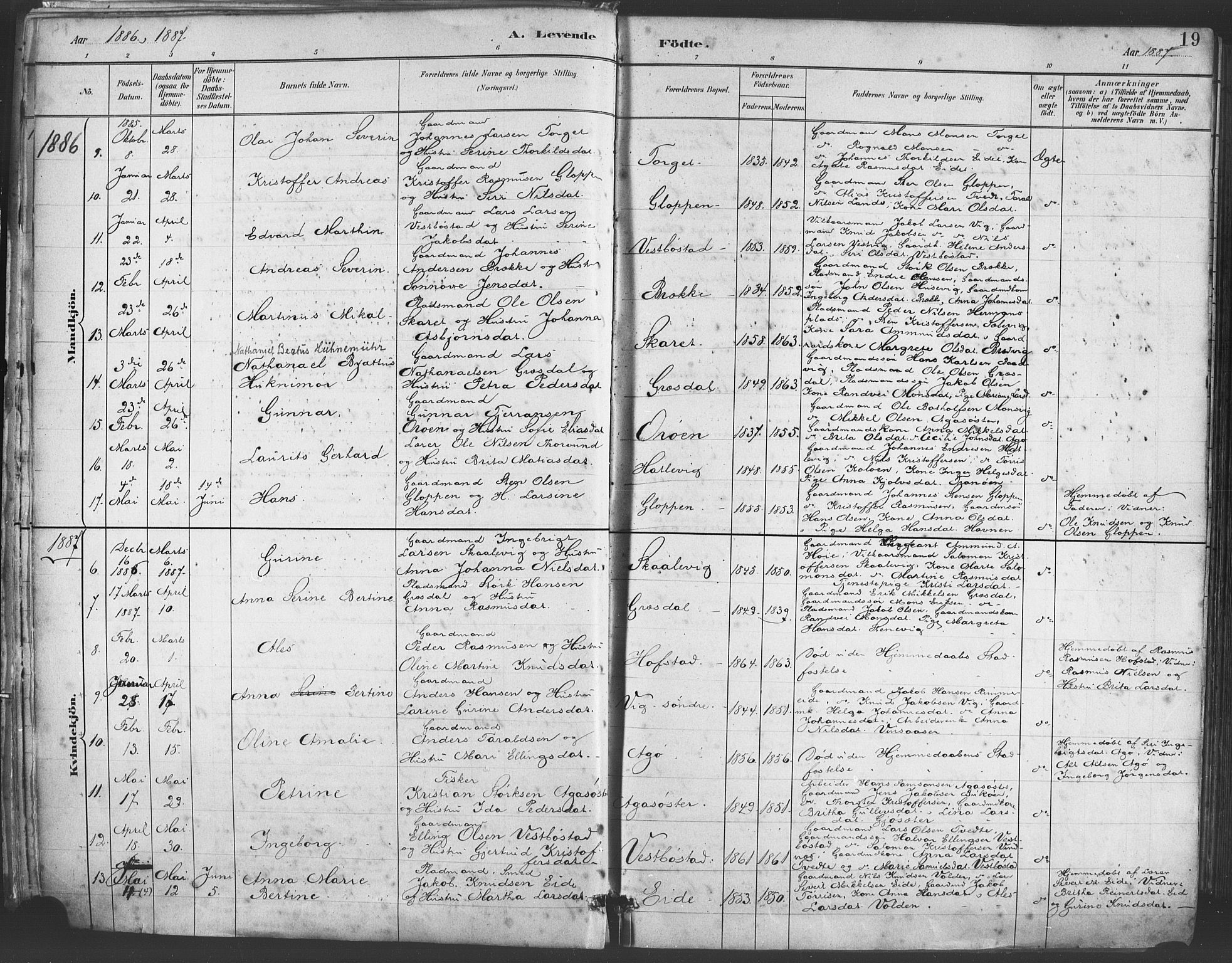 Fitjar sokneprestembete, AV/SAB-A-99926: Parish register (official) no. A 2, 1882-1899, p. 19