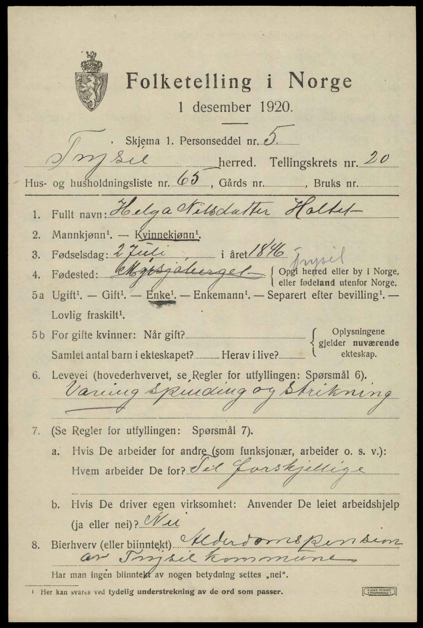 SAH, 1920 census for Trysil, 1920, p. 13743