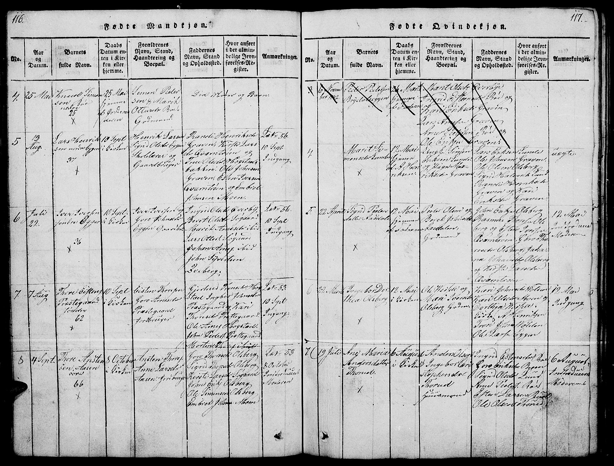 Tynset prestekontor, SAH/PREST-058/H/Ha/Hab/L0004: Parish register (copy) no. 4, 1814-1879, p. 116-117