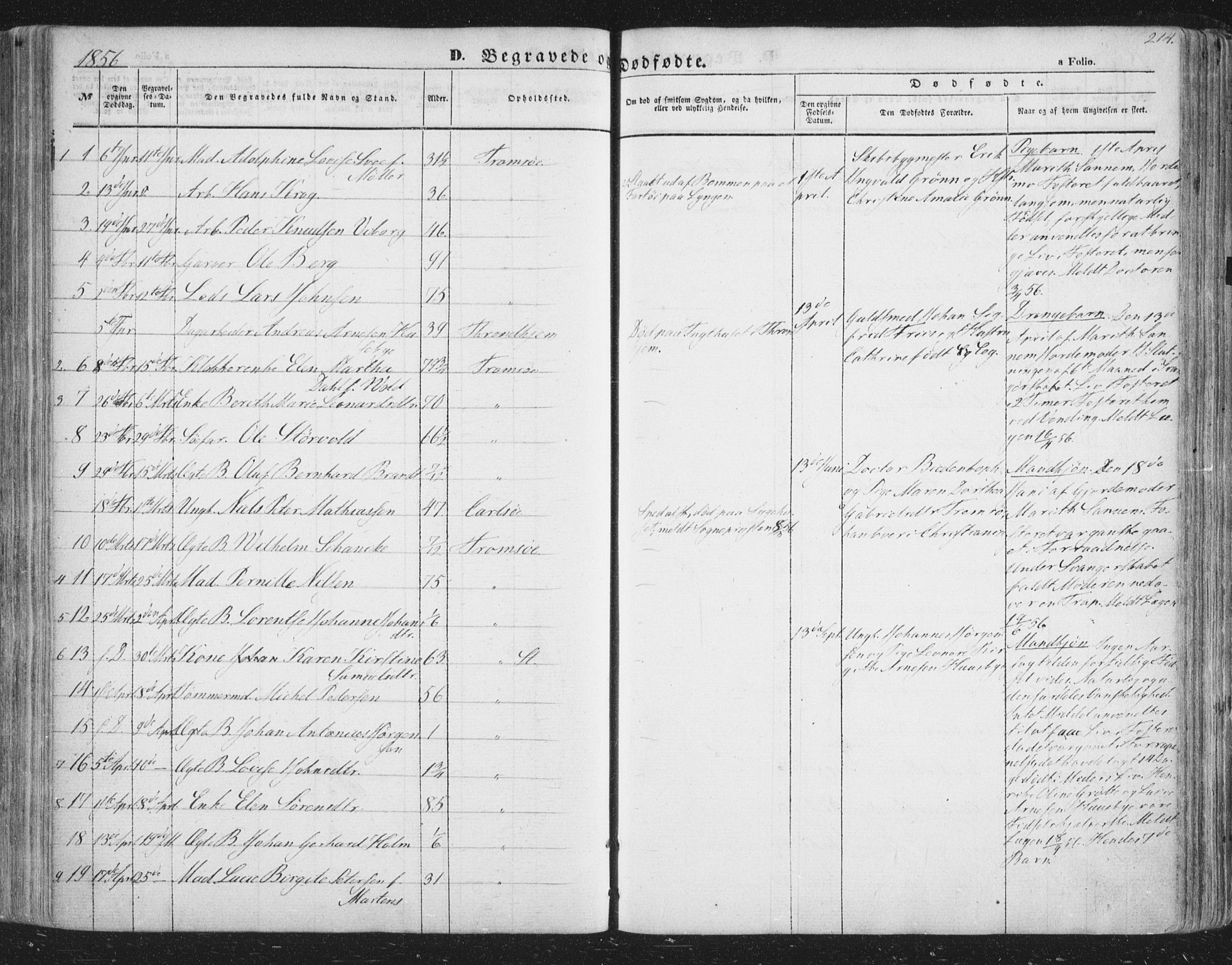 Tromsø sokneprestkontor/stiftsprosti/domprosti, SATØ/S-1343/G/Ga/L0011kirke: Parish register (official) no. 11, 1856-1865, p. 214