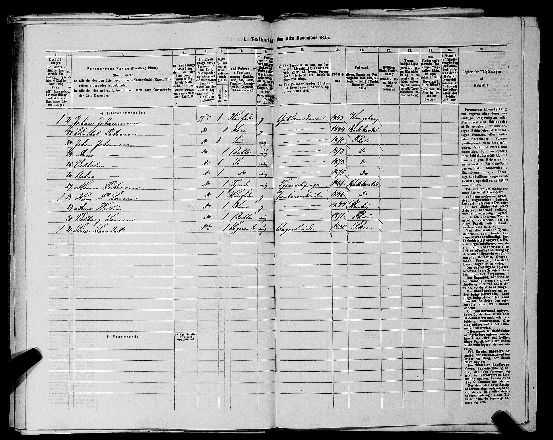RA, 1875 census for 0101P Fredrikshald, 1875, p. 296