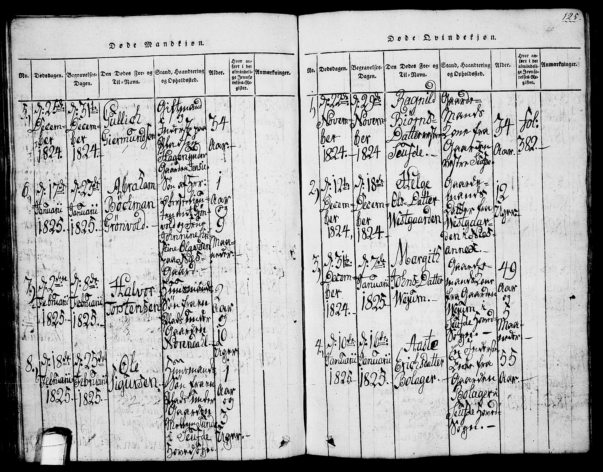 Sauherad kirkebøker, AV/SAKO-A-298/G/Ga/L0001: Parish register (copy) no. I 1, 1815-1827, p. 125