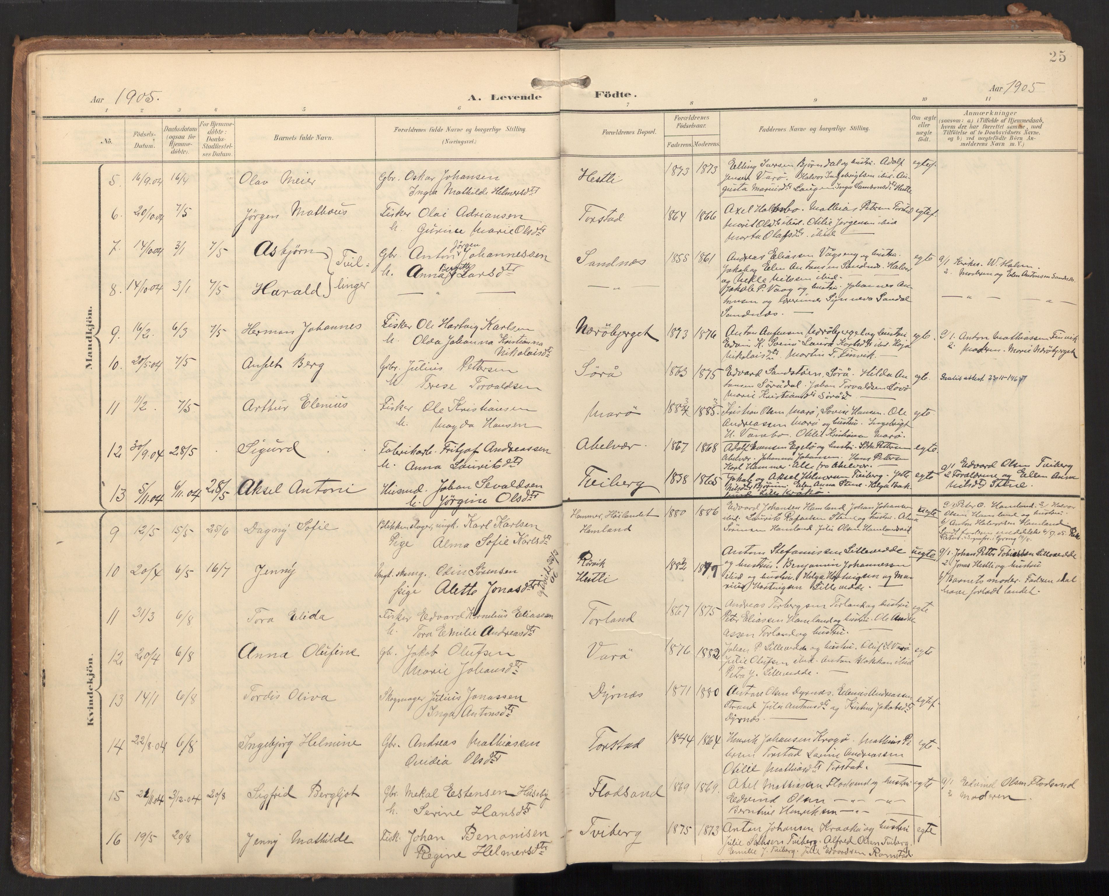 Ministerialprotokoller, klokkerbøker og fødselsregistre - Nord-Trøndelag, SAT/A-1458/784/L0677: Parish register (official) no. 784A12, 1900-1920, p. 25