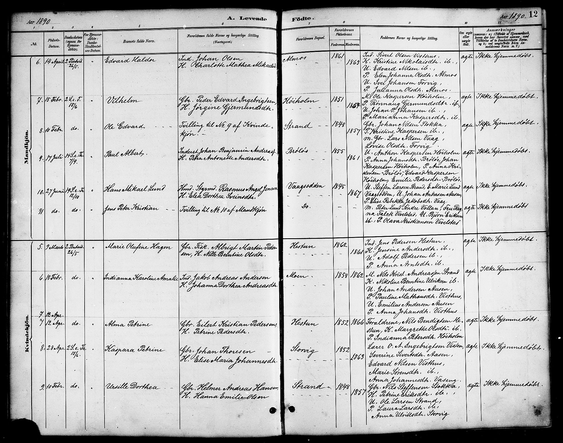 Ministerialprotokoller, klokkerbøker og fødselsregistre - Nordland, AV/SAT-A-1459/819/L0277: Klokkerbok nr. 819C03, 1888-1917, s. 12