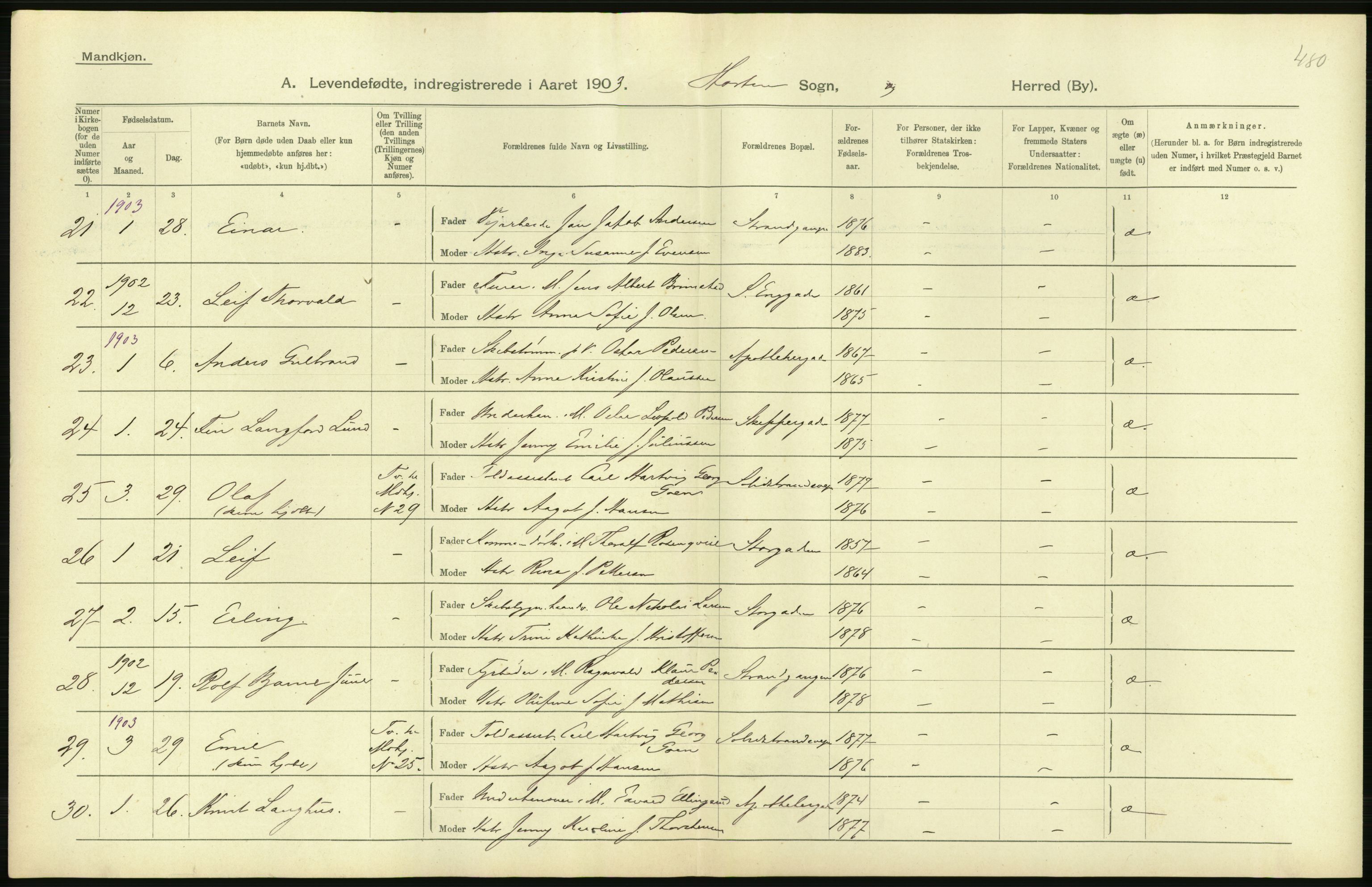 Statistisk sentralbyrå, Sosiodemografiske emner, Befolkning, RA/S-2228/D/Df/Dfa/Dfaa/L0008: Jarlsberg og Larvik amt: Fødte, gifte, døde, 1903, s. 358