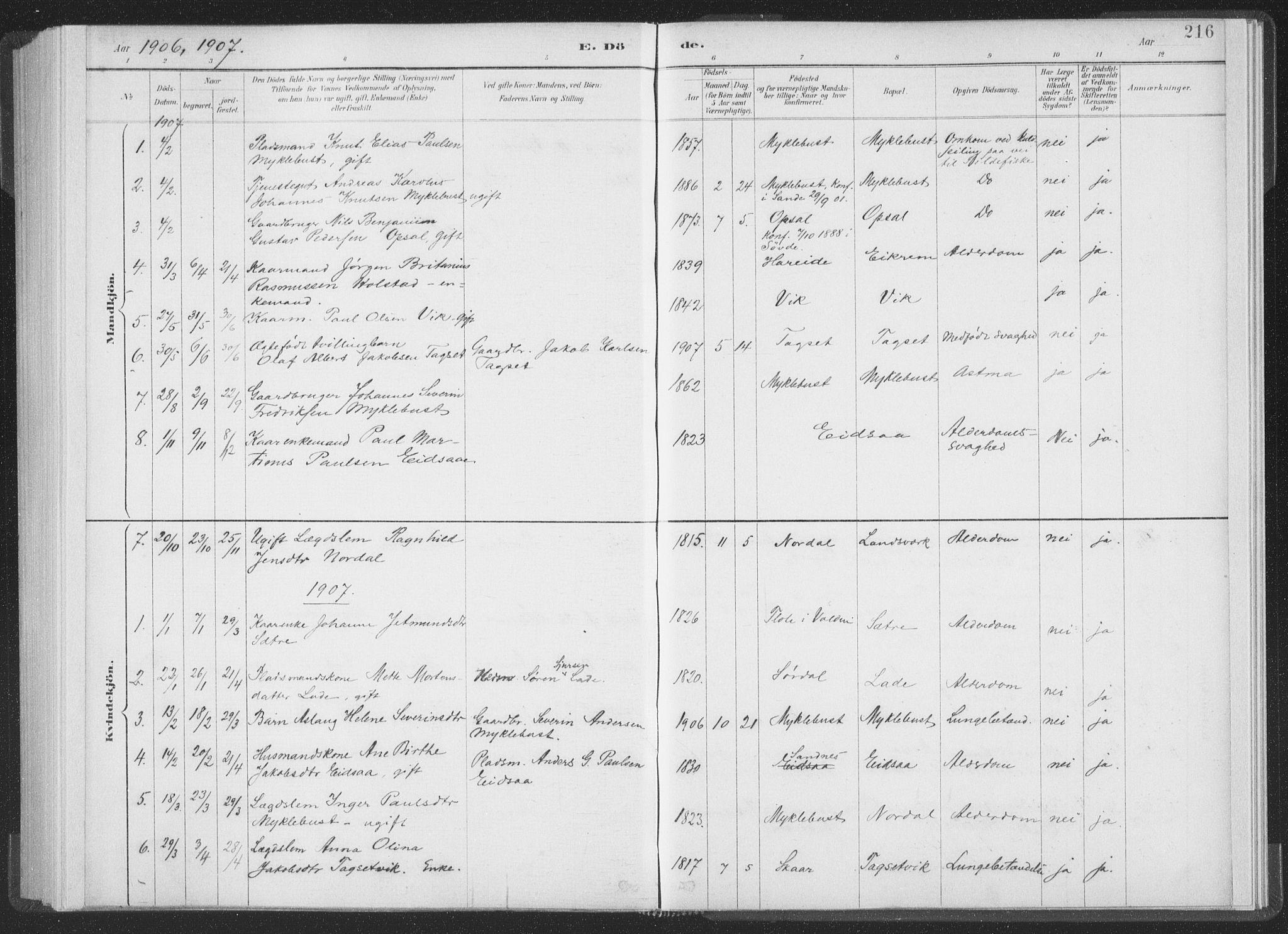 Ministerialprotokoller, klokkerbøker og fødselsregistre - Møre og Romsdal, SAT/A-1454/502/L0025: Ministerialbok nr. 502A03, 1885-1909, s. 216