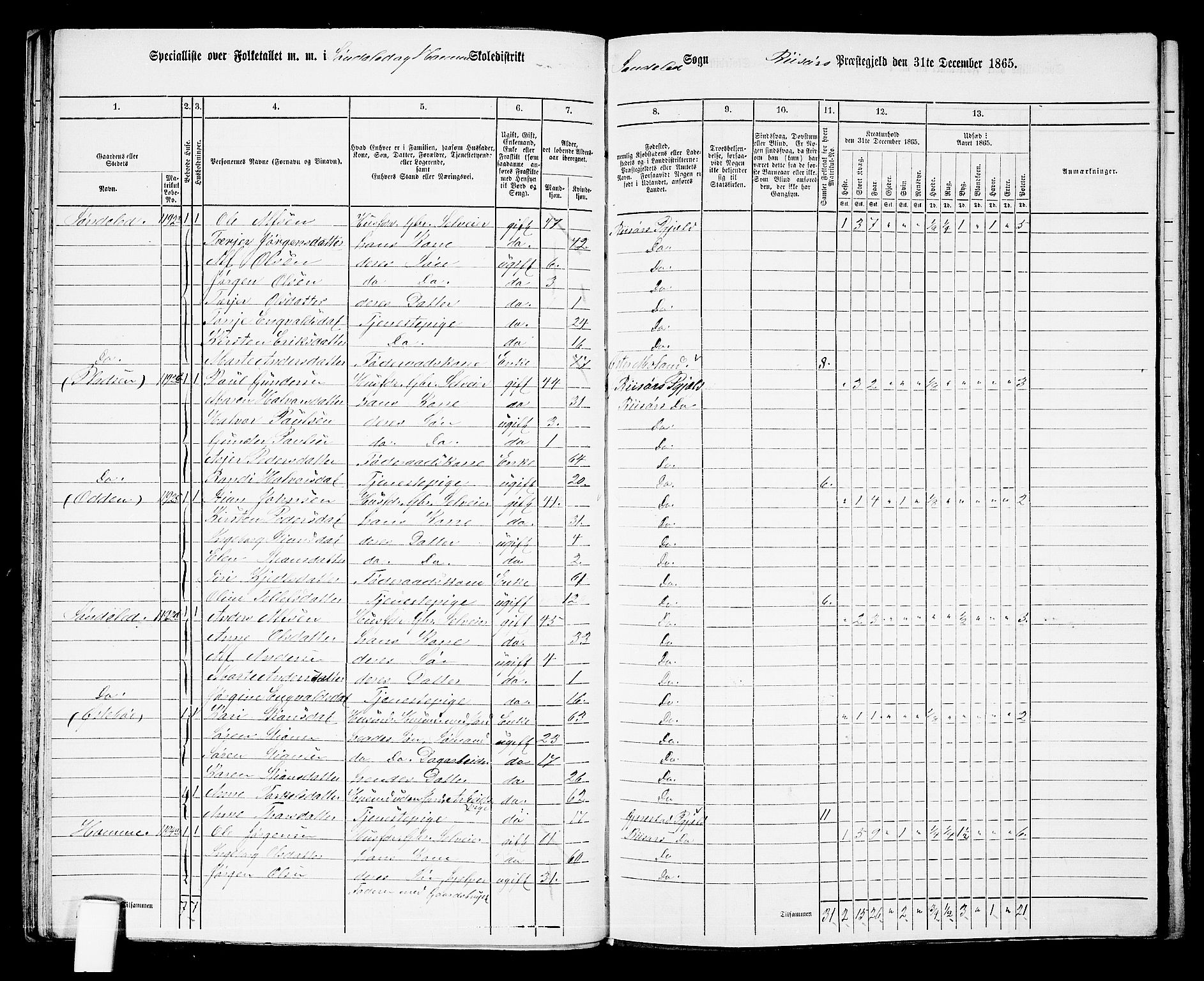 RA, Folketelling 1865 for 0913L Risør prestegjeld, Søndeled sokn, 1865, s. 53