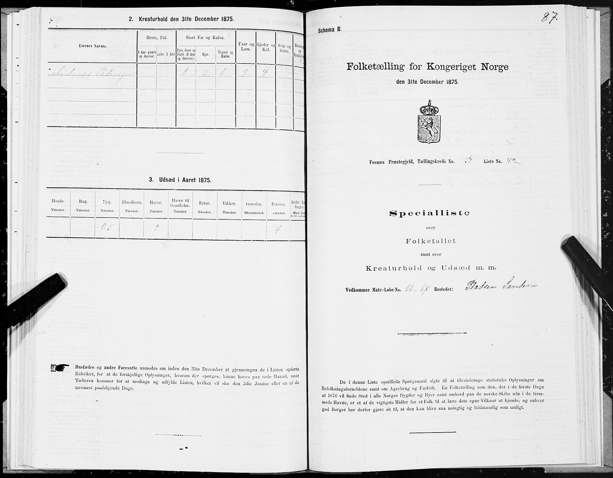 SAT, Folketelling 1875 for 1748P Fosnes prestegjeld, 1875, s. 4087