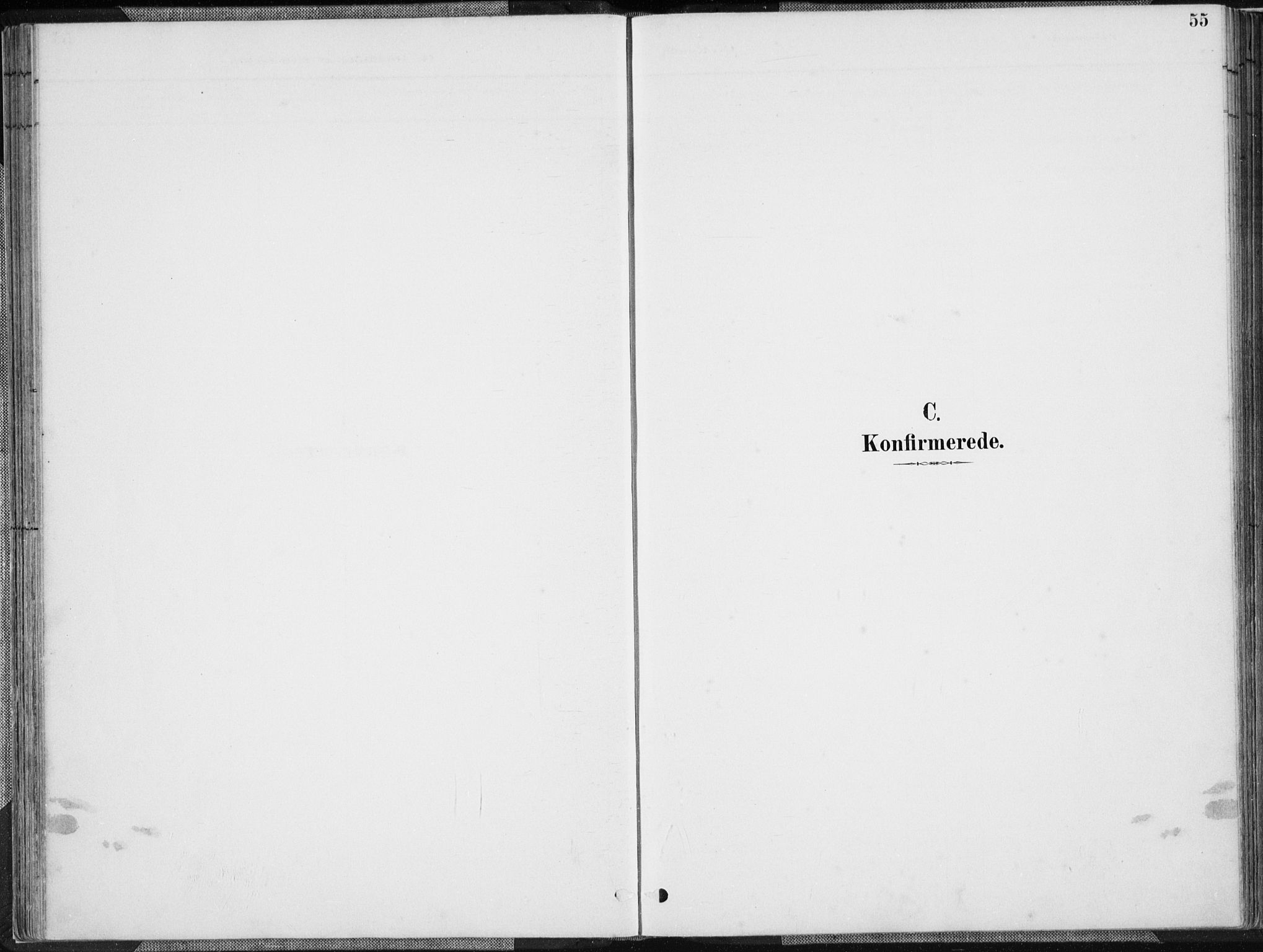 Herad sokneprestkontor, SAK/1111-0018/F/Fa/Faa/L0006: Ministerialbok nr. A 6, 1887-1907, s. 55
