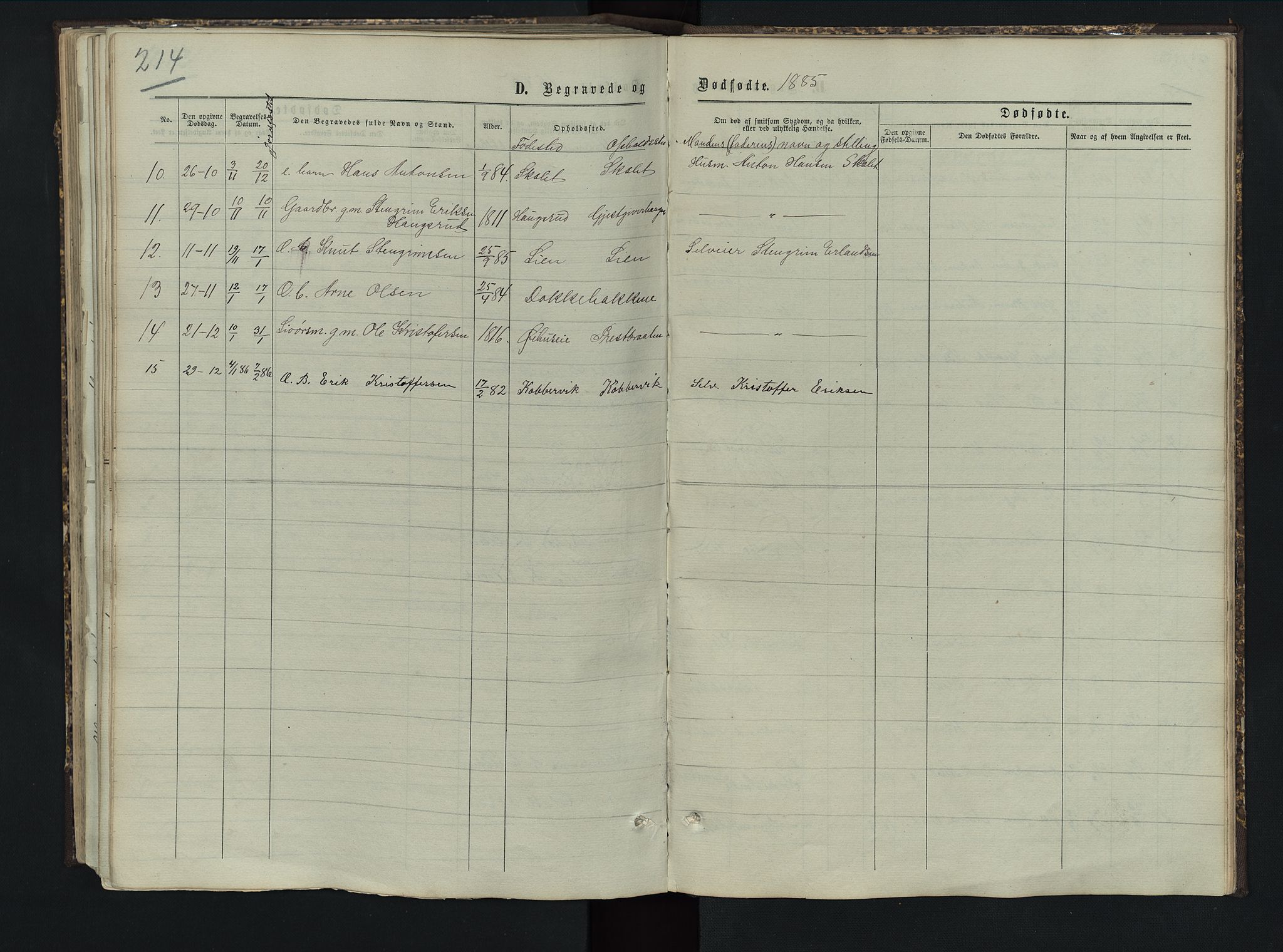 Sør-Aurdal prestekontor, AV/SAH-PREST-128/H/Ha/Hab/L0005: Klokkerbok nr. 5, 1866-1893, s. 214