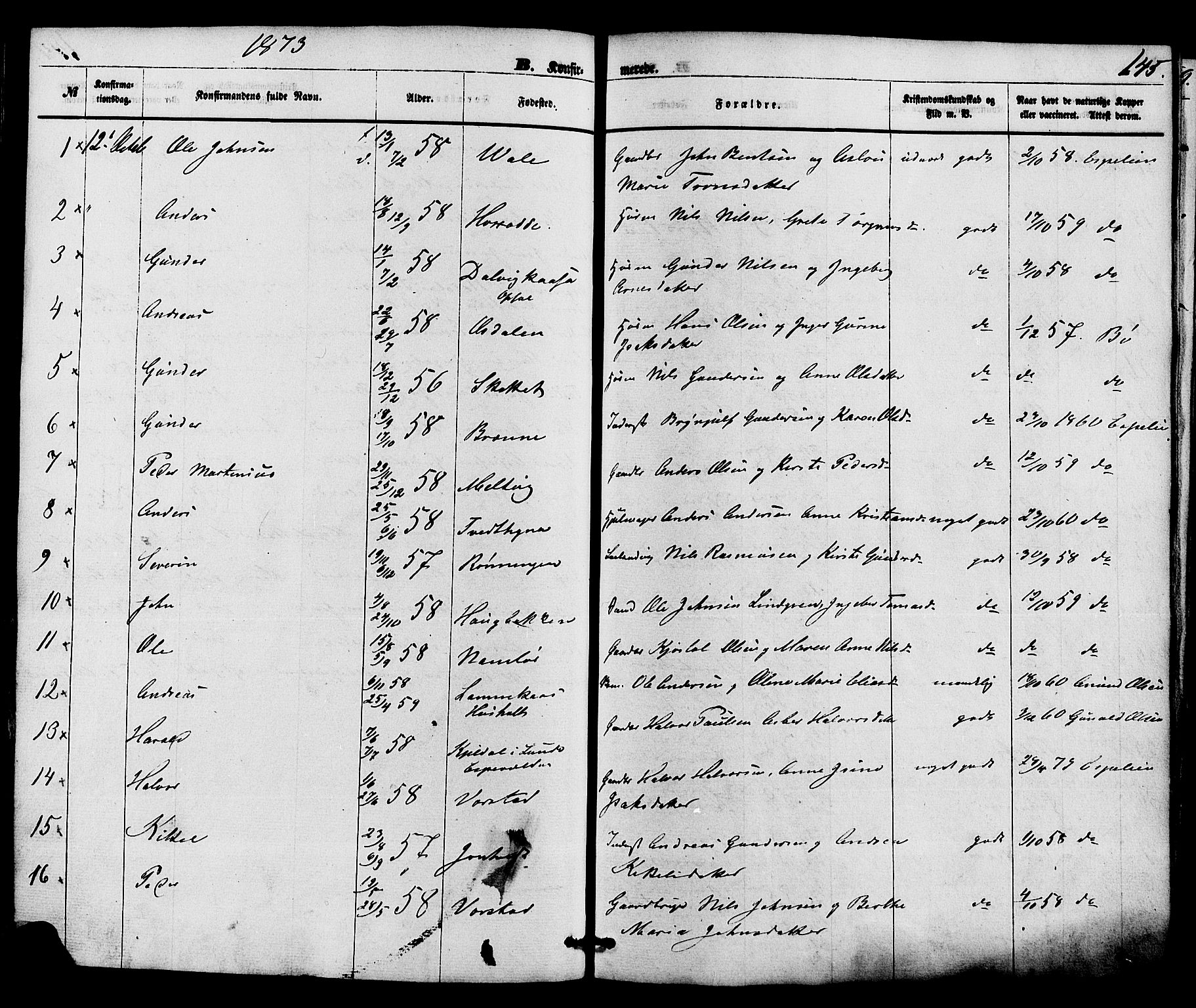Holla kirkebøker, AV/SAKO-A-272/F/Fa/L0007: Ministerialbok nr. 7, 1869-1881, s. 145