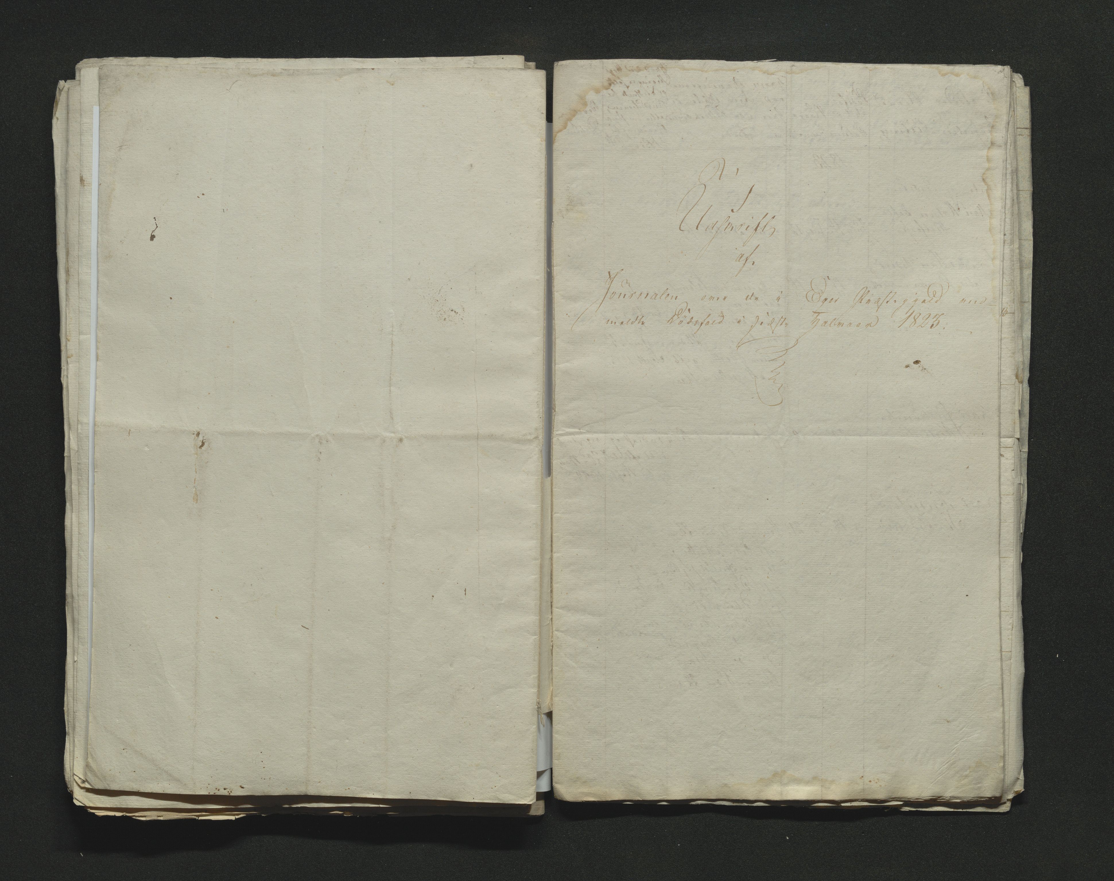 Eiker, Modum og Sigdal sorenskriveri, AV/SAKO-A-123/H/Ha/Hab/L0002: Dødsfallsmeldinger, 1823-1829, s. 77