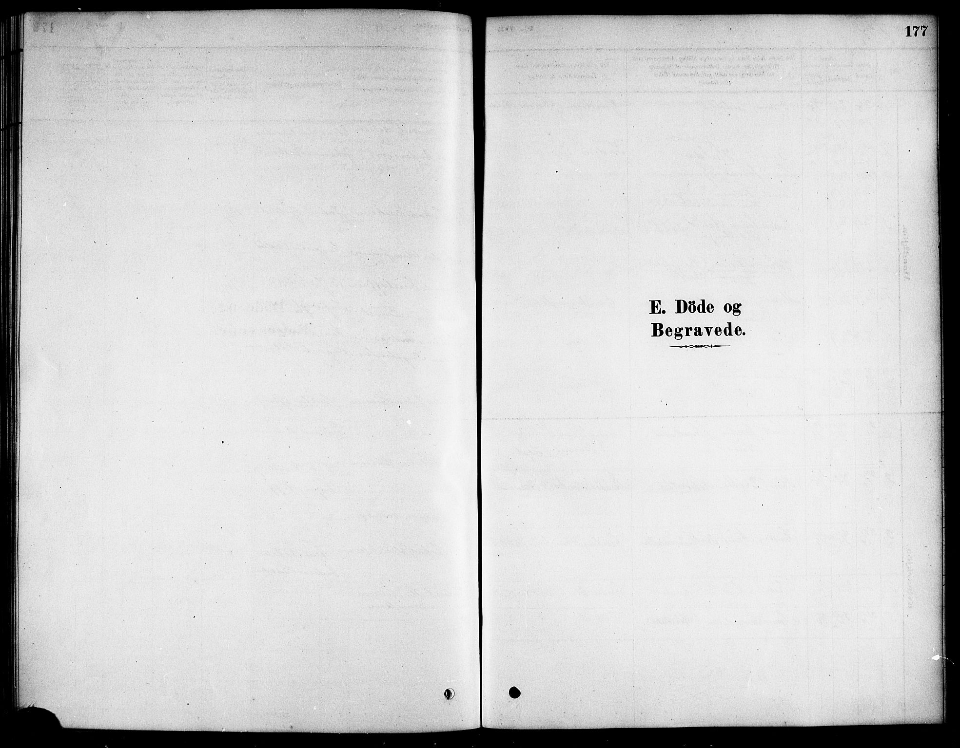 Ministerialprotokoller, klokkerbøker og fødselsregistre - Nordland, AV/SAT-A-1459/823/L0330: Klokkerbok nr. 823C02, 1879-1916, s. 177