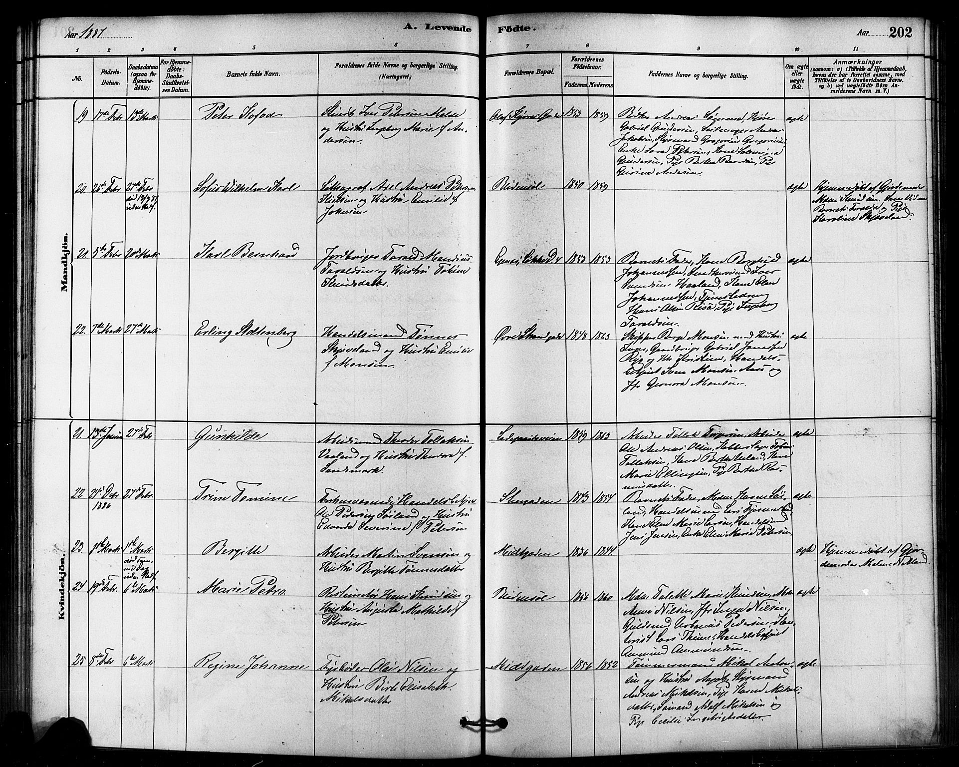 Domkirken sokneprestkontor, AV/SAST-A-101812/001/30/30BB/L0015: Klokkerbok nr. B 15, 1880-1891, s. 202
