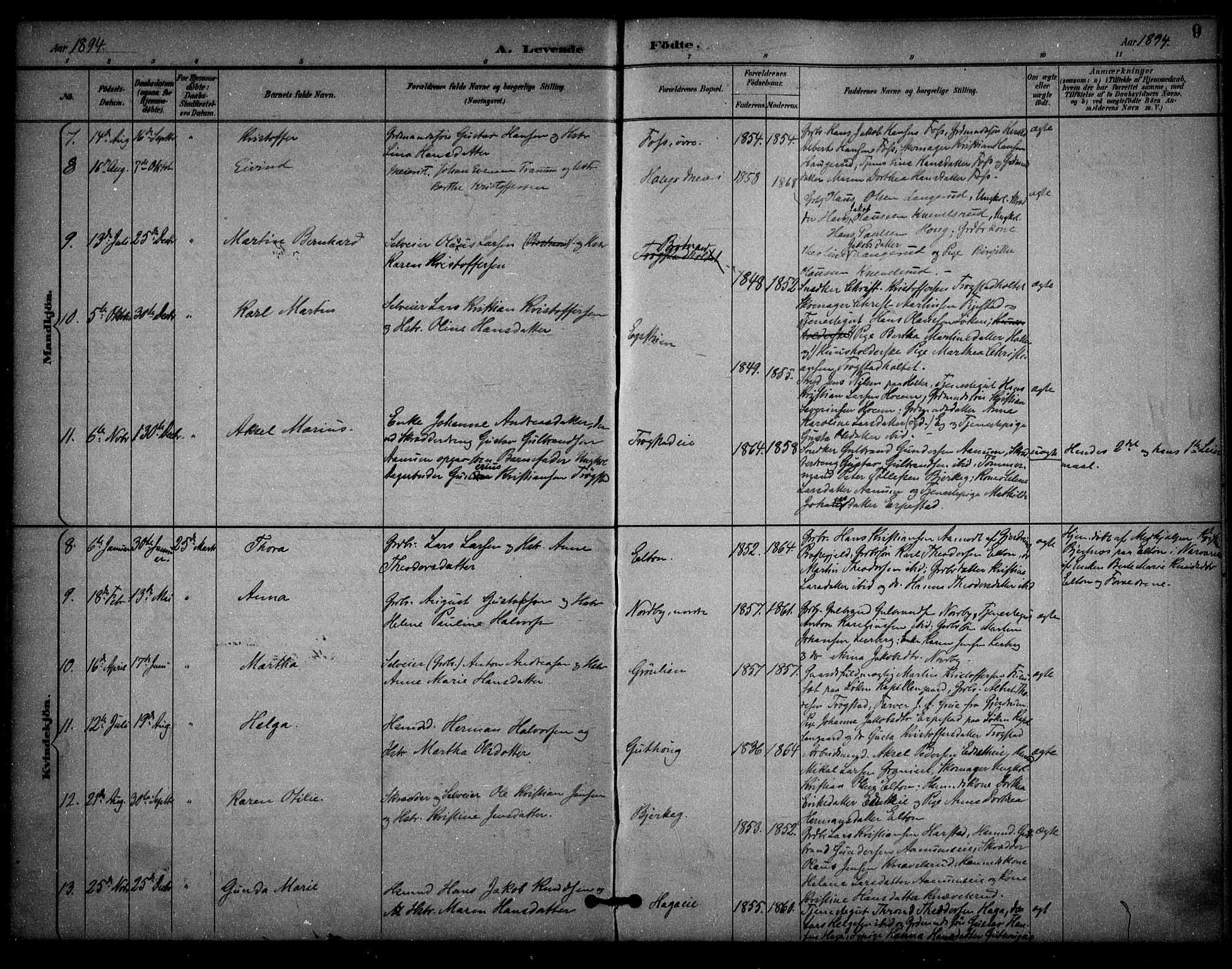 Nannestad prestekontor Kirkebøker, AV/SAO-A-10414a/F/Fb/L0002: Ministerialbok nr. II 2, 1891-1909, s. 9