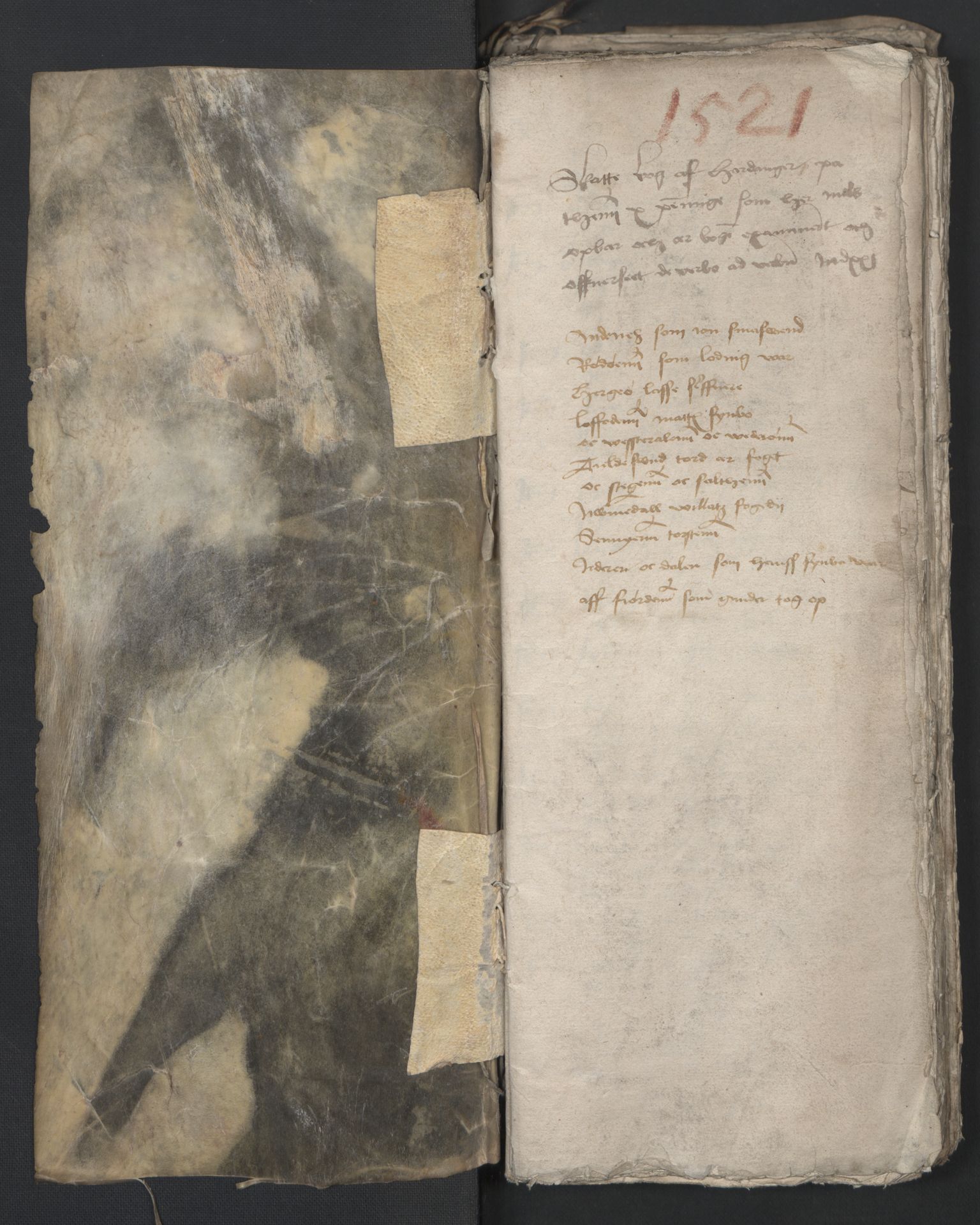 Rentekammeret inntil 1814, Reviderte regnskaper, Lensregnskaper, AV/RA-EA-5023/R/Ra/L0010: Bergenhus len, 1521-1522