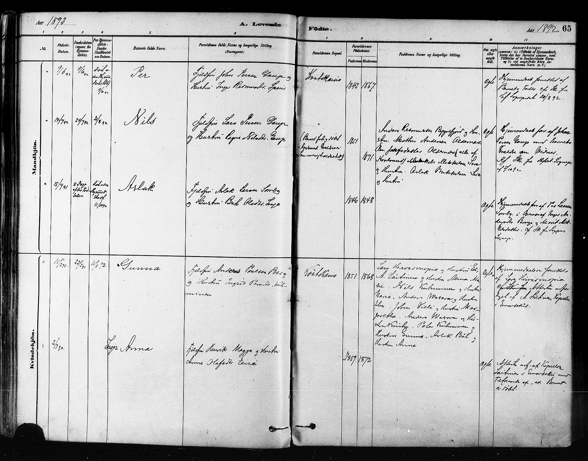Kautokeino sokneprestembete, AV/SATØ-S-1340/H/Ha/L0004.kirke: Ministerialbok nr. 4, 1877-1896, s. 65