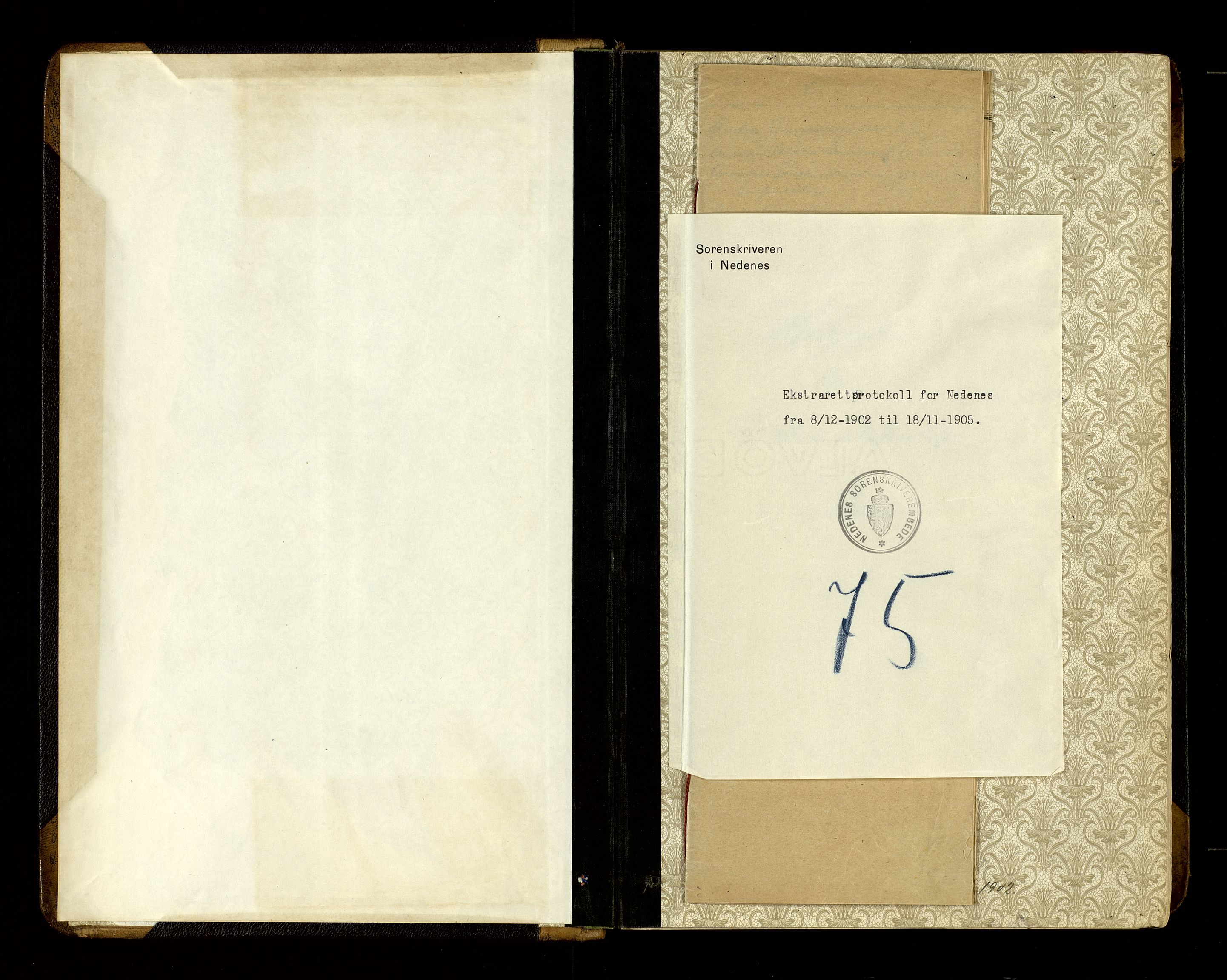 Nedenes sorenskriveri, SAK/1221-0006/F/Fb/L0009: Ekstrarettsprotokoll nr 9, 1902-1905