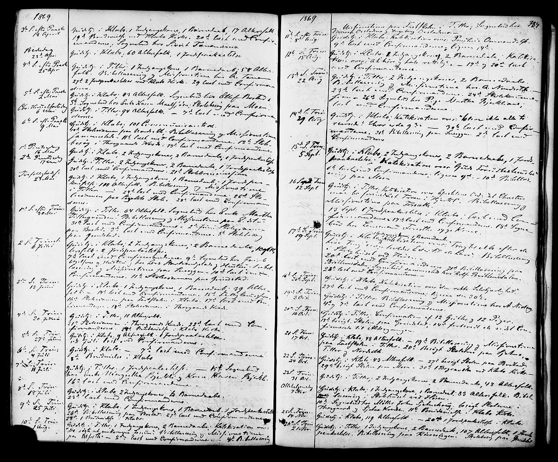 Ministerialprotokoller, klokkerbøker og fødselsregistre - Sør-Trøndelag, AV/SAT-A-1456/618/L0442: Ministerialbok nr. 618A06 /1, 1863-1879, s. 384