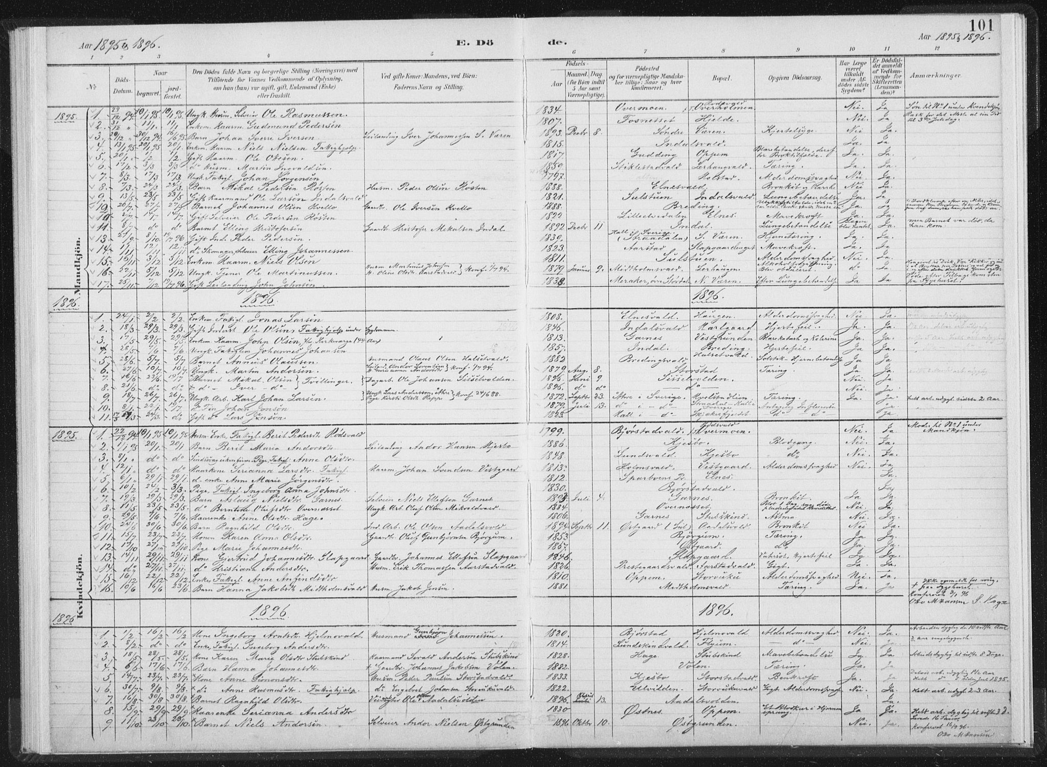 Ministerialprotokoller, klokkerbøker og fødselsregistre - Nord-Trøndelag, AV/SAT-A-1458/724/L0263: Ministerialbok nr. 724A01, 1891-1907, s. 101