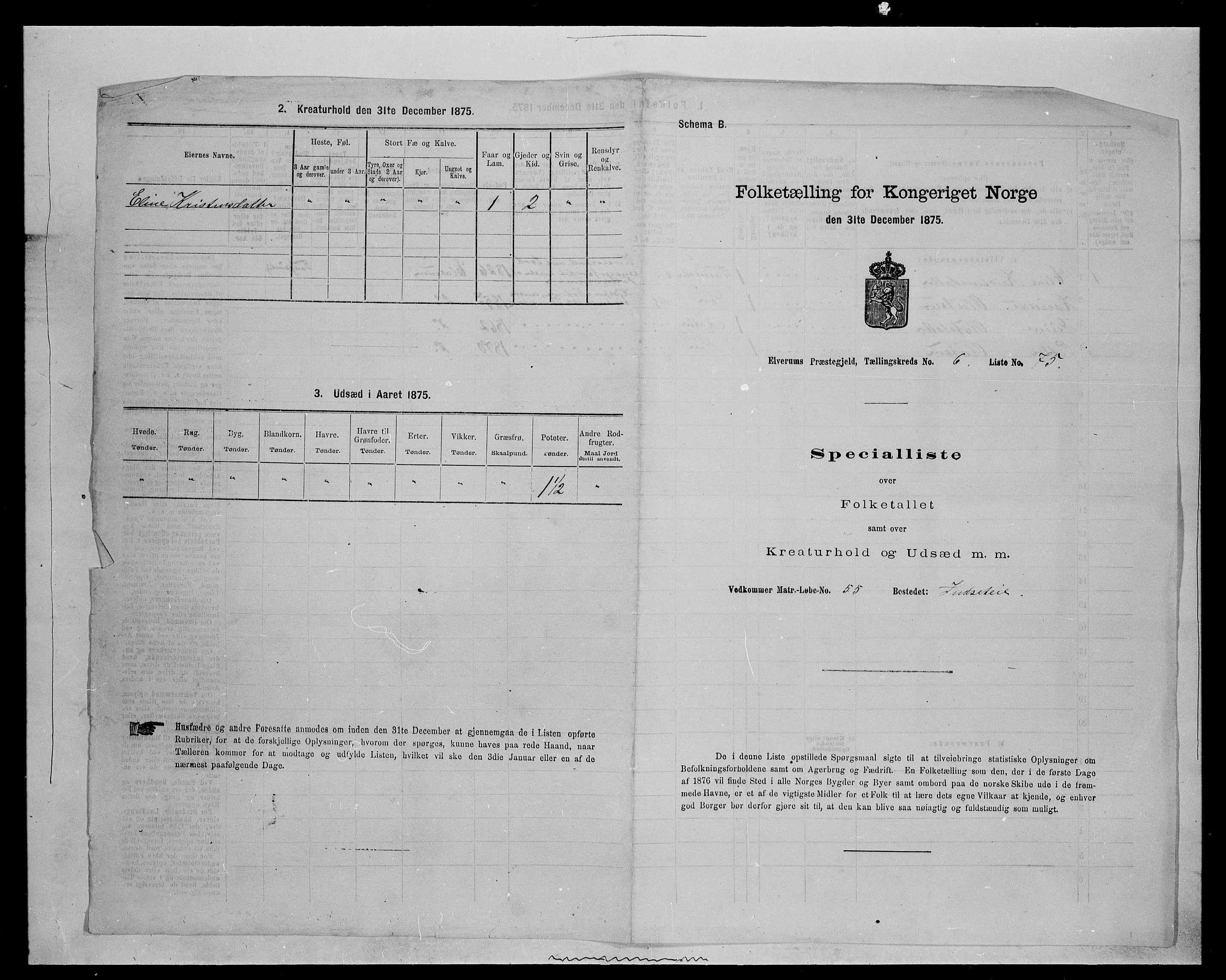 SAH, Folketelling 1875 for 0427P Elverum prestegjeld, 1875, s. 1479