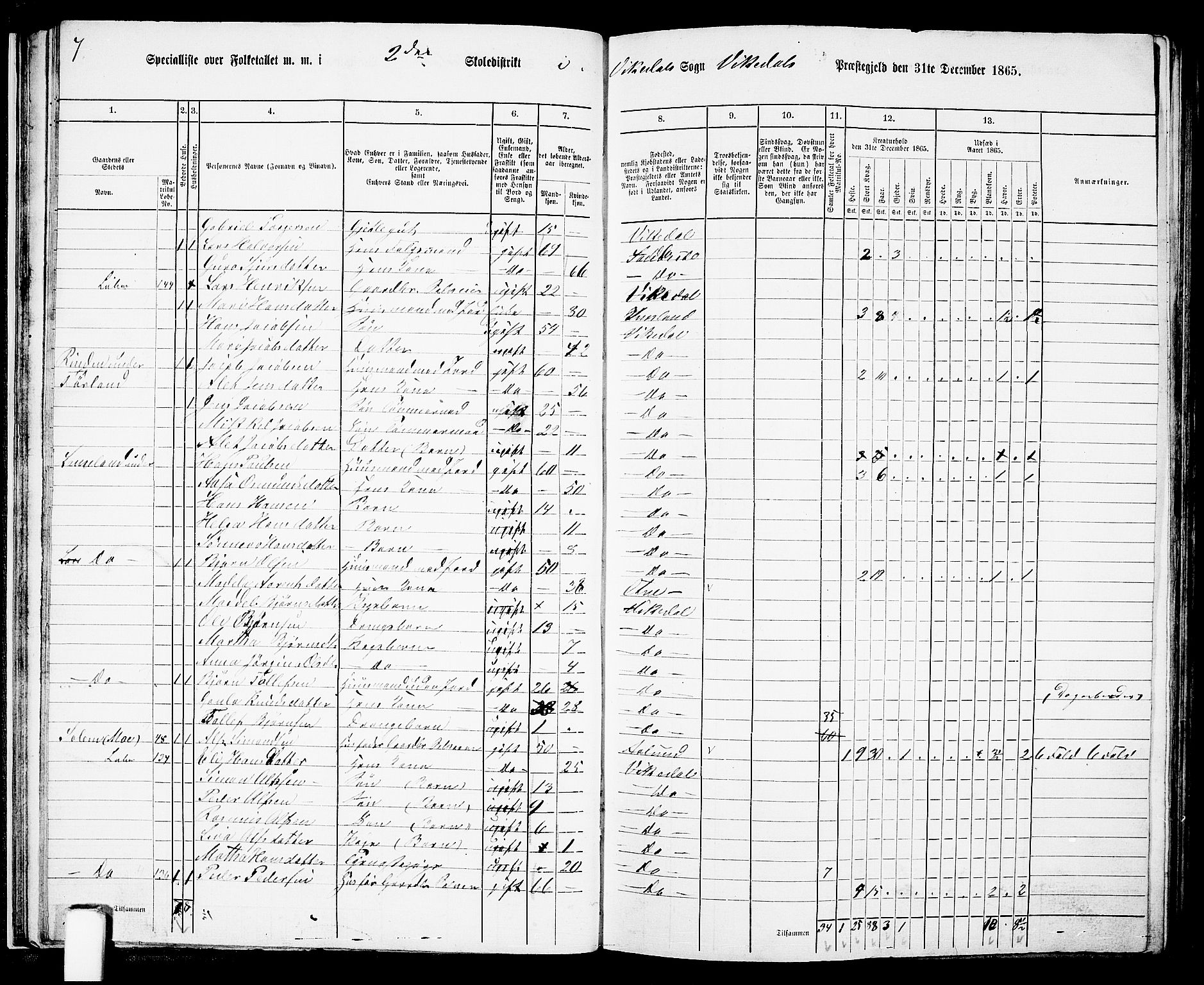 RA, Folketelling 1865 for 1157P Vikedal prestegjeld, 1865, s. 32