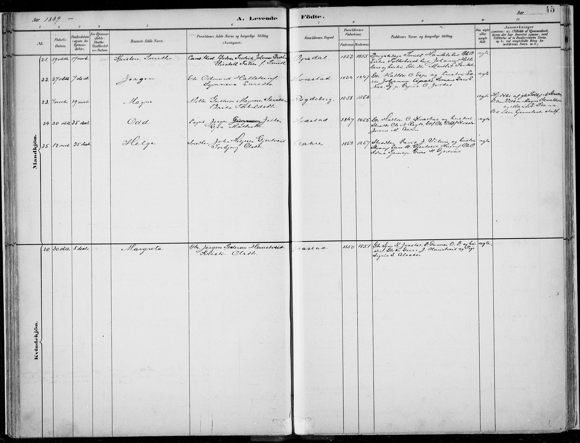 Ullensvang sokneprestembete, SAB/A-78701/H/Haa: Ministerialbok nr. B  1, 1882-1918, s. 45