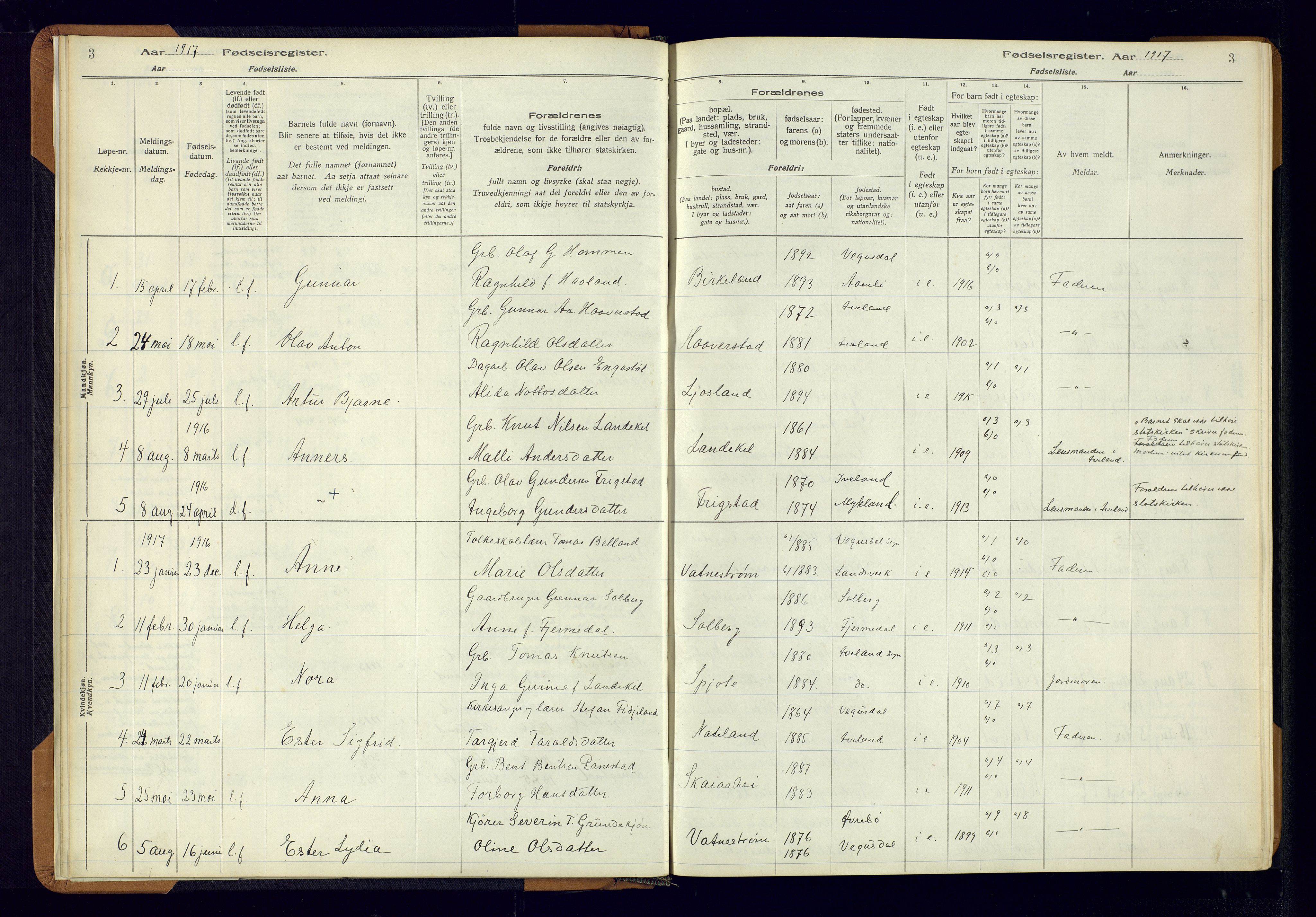 Evje sokneprestkontor, SAK/1111-0008/J/Jc/L0003: Fødselsregister nr. II.4.3, 1916-1982, s. 3