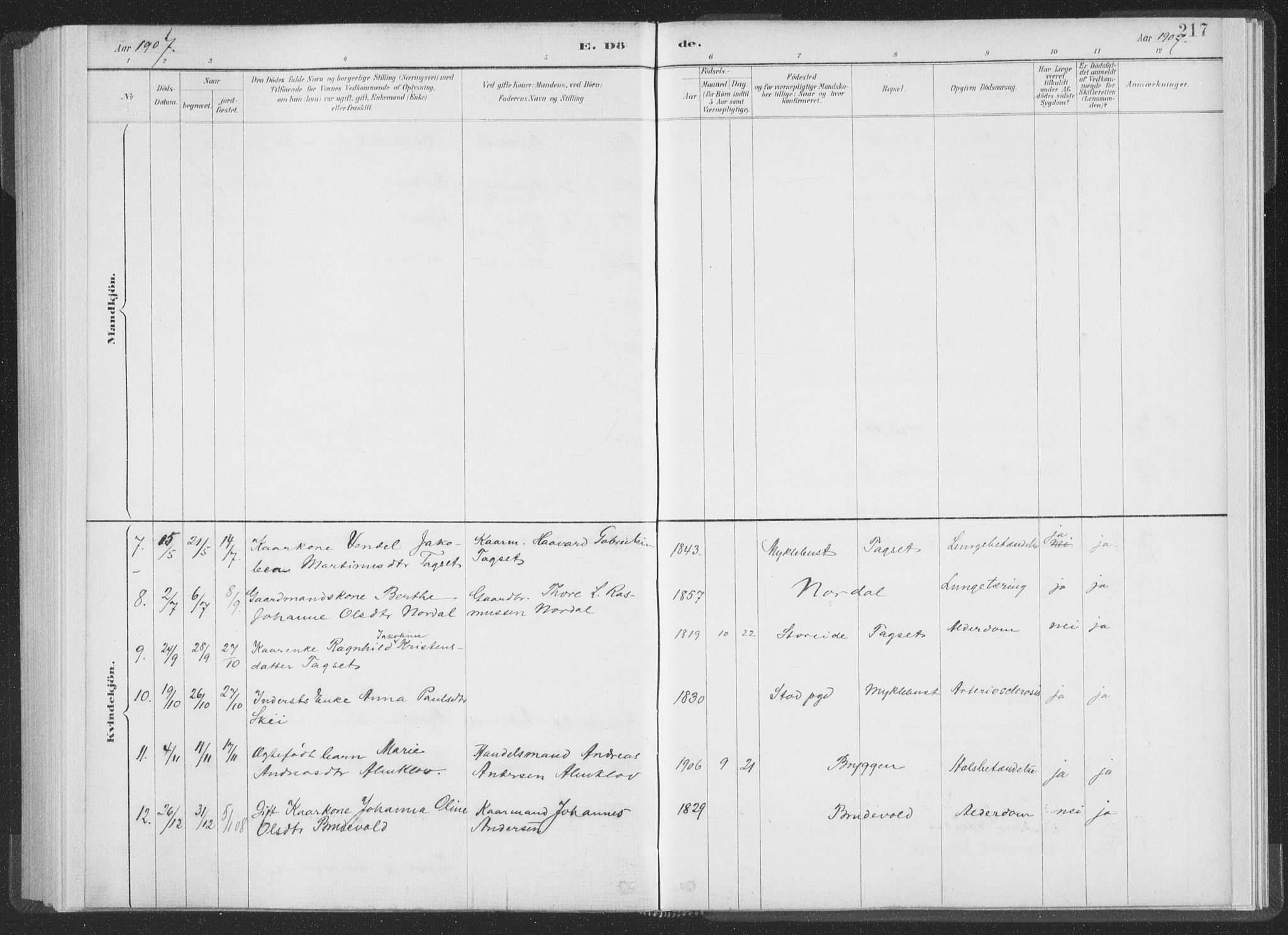 Ministerialprotokoller, klokkerbøker og fødselsregistre - Møre og Romsdal, AV/SAT-A-1454/502/L0025: Ministerialbok nr. 502A03, 1885-1909, s. 217