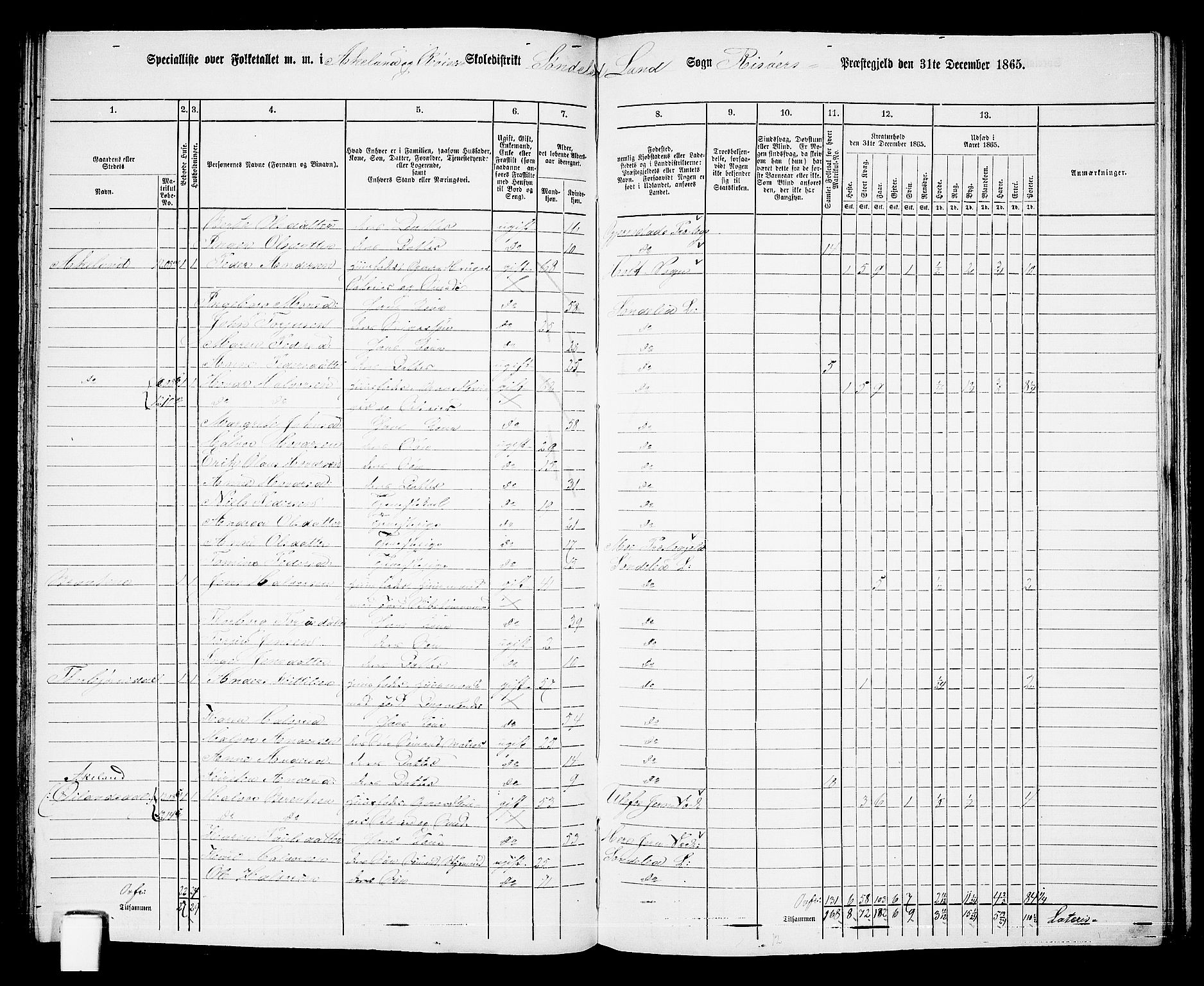 RA, Folketelling 1865 for 0913L Risør prestegjeld, Søndeled sokn, 1865, s. 73