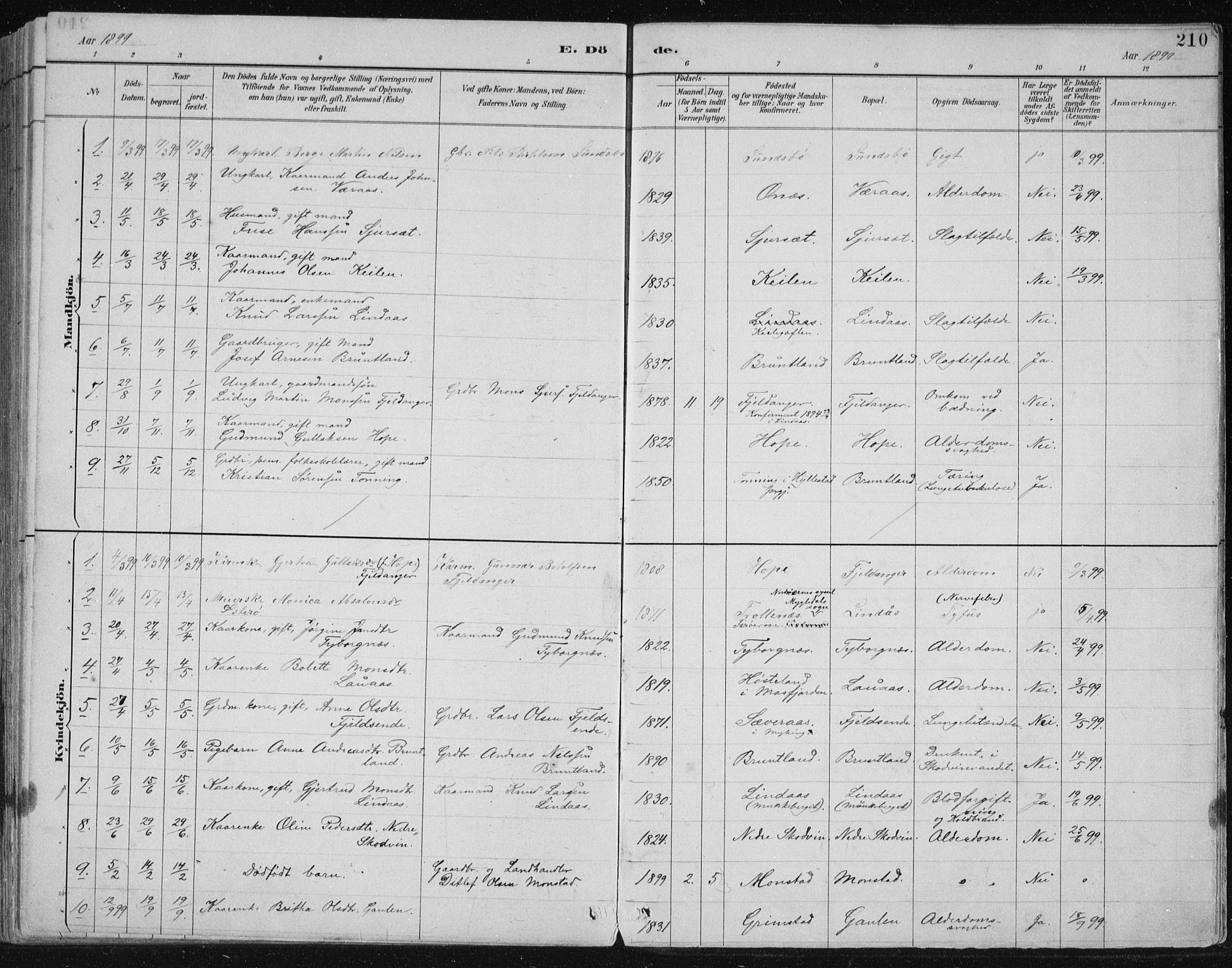 Lindås Sokneprestembete, AV/SAB-A-76701/H/Hab/Habb/L0003: Klokkerbok nr. B 3, 1886-1914, s. 210