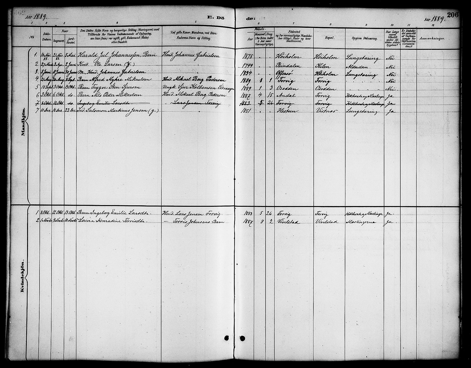 Ministerialprotokoller, klokkerbøker og fødselsregistre - Nordland, SAT/A-1459/819/L0277: Klokkerbok nr. 819C03, 1888-1917, s. 206