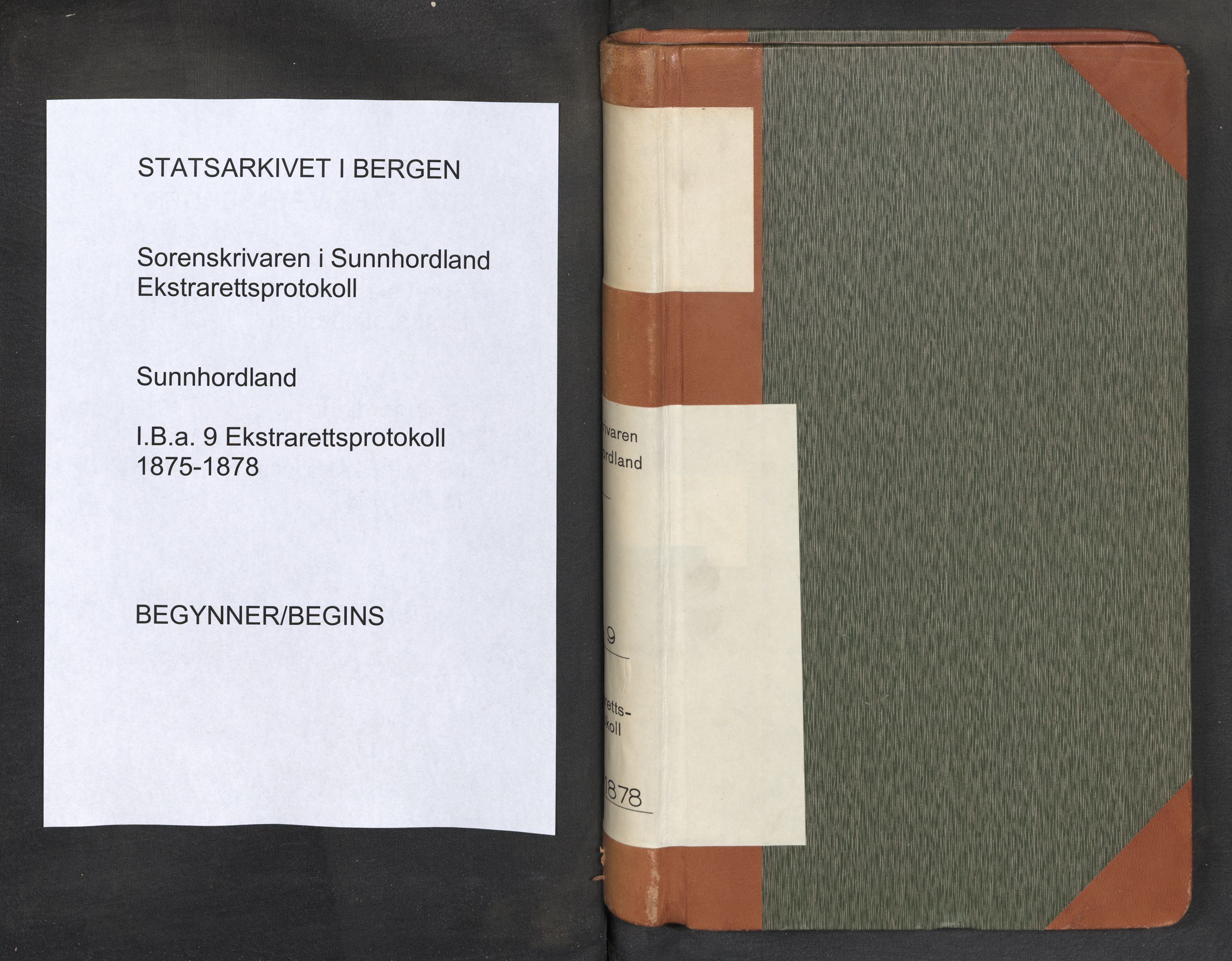 Sunnhordland sorenskrivar, SAB/A-2401/1/F/Fb/Fba/L0009: Ekstrarettsprotokoll, 1875-1878
