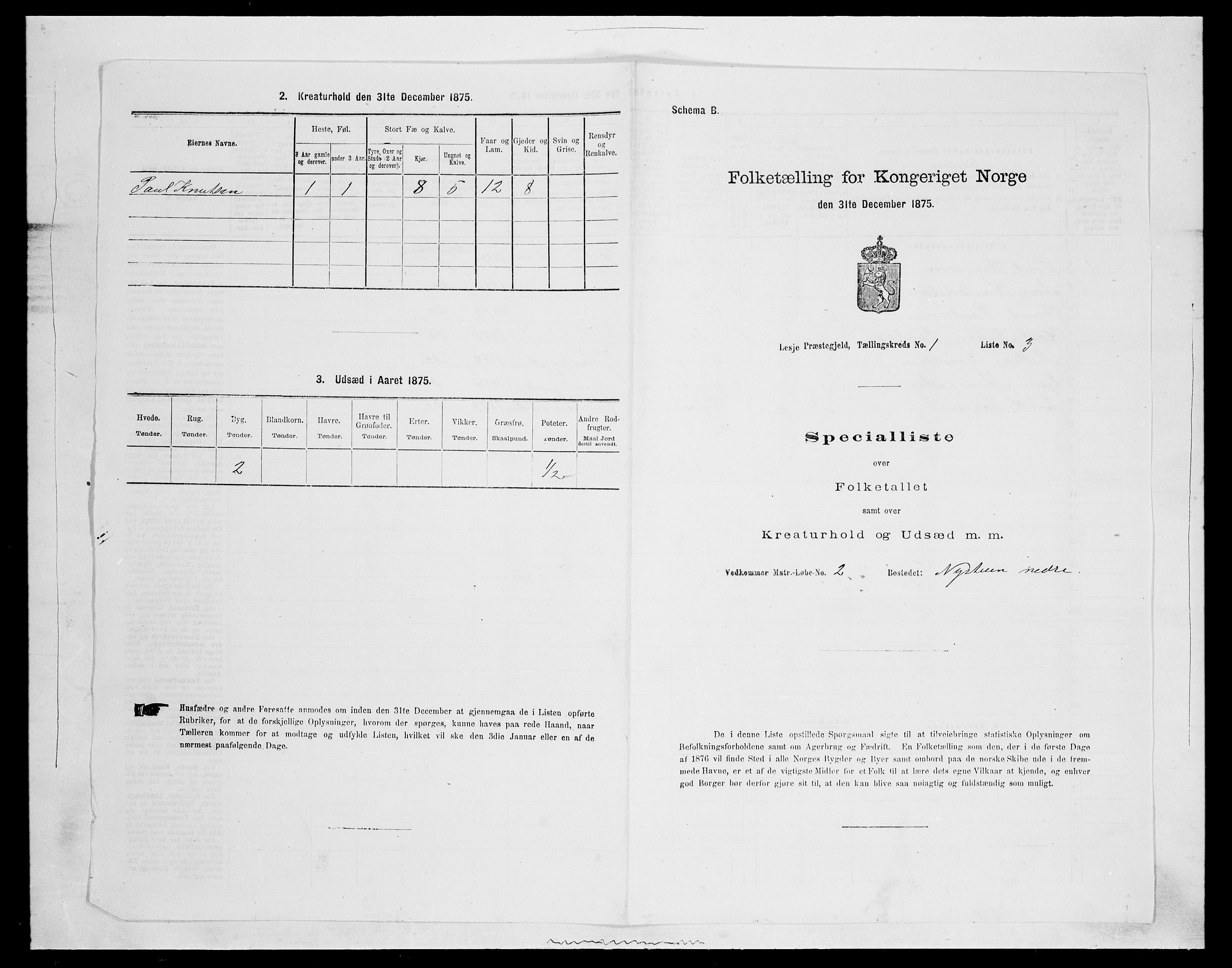SAH, Folketelling 1875 for 0512P Lesja prestegjeld, 1875, s. 88