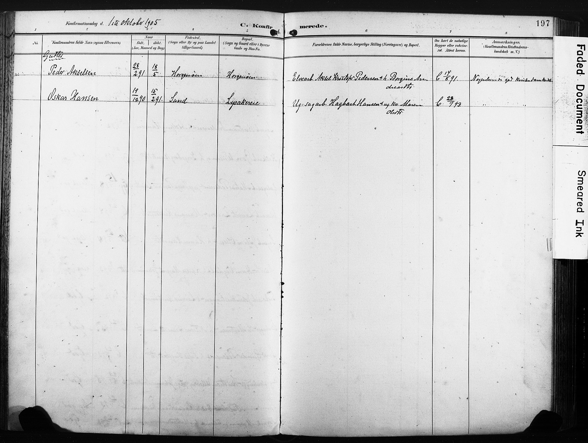 Nedre Eiker kirkebøker, AV/SAKO-A-612/F/Fa/L0005: Ministerialbok nr. 5, 1898-1905, s. 197