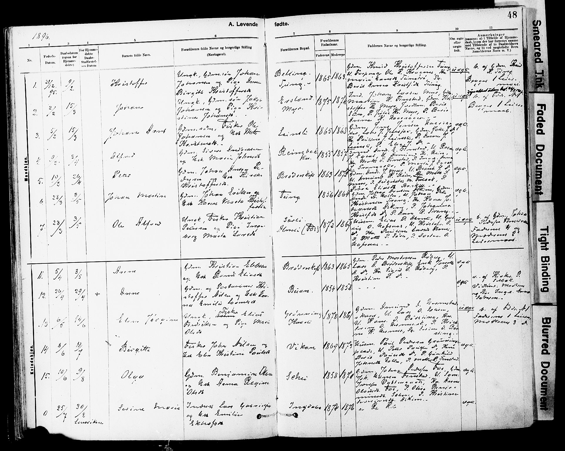 Ministerialprotokoller, klokkerbøker og fødselsregistre - Sør-Trøndelag, AV/SAT-A-1456/646/L0615: Ministerialbok nr. 646A13, 1885-1900, s. 48
