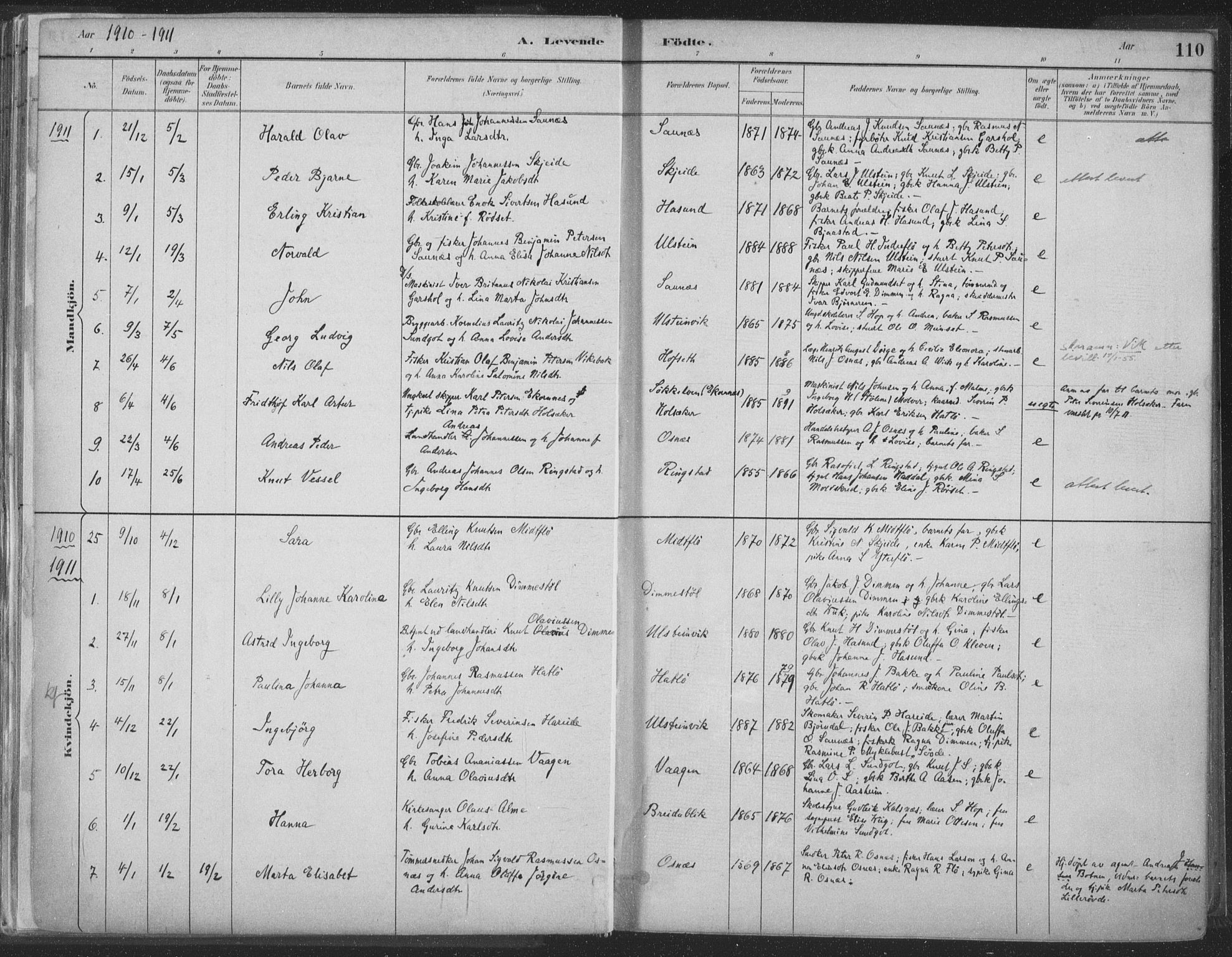 Ministerialprotokoller, klokkerbøker og fødselsregistre - Møre og Romsdal, SAT/A-1454/509/L0106: Ministerialbok nr. 509A04, 1883-1922, s. 110