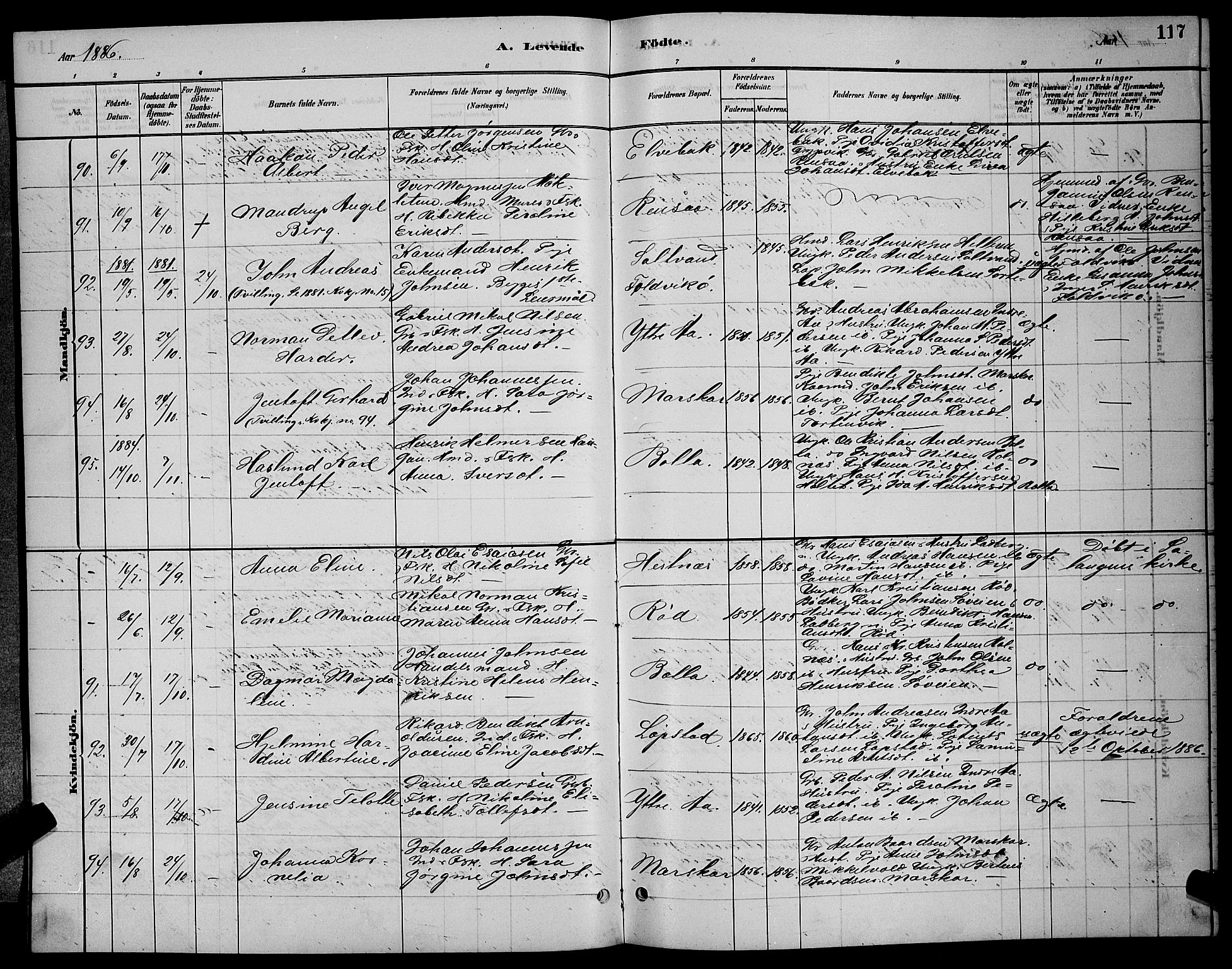 Ibestad sokneprestembete, AV/SATØ-S-0077/H/Ha/Hab/L0007klokker: Klokkerbok nr. 7, 1879-1889, s. 117