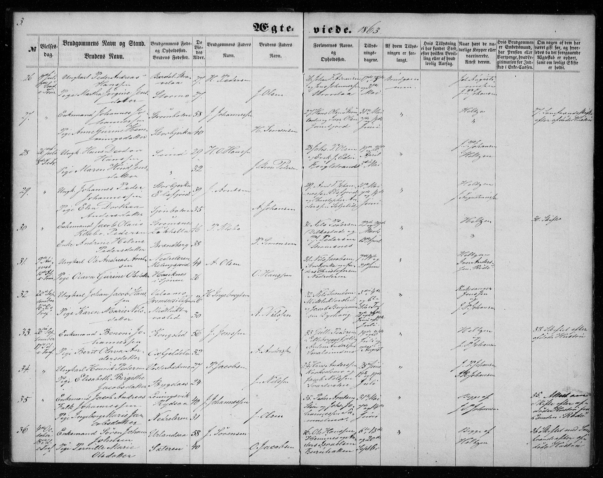 Ministerialprotokoller, klokkerbøker og fødselsregistre - Nordland, SAT/A-1459/825/L0358: Ministerialbok nr. 825A12, 1863-1878, s. 3