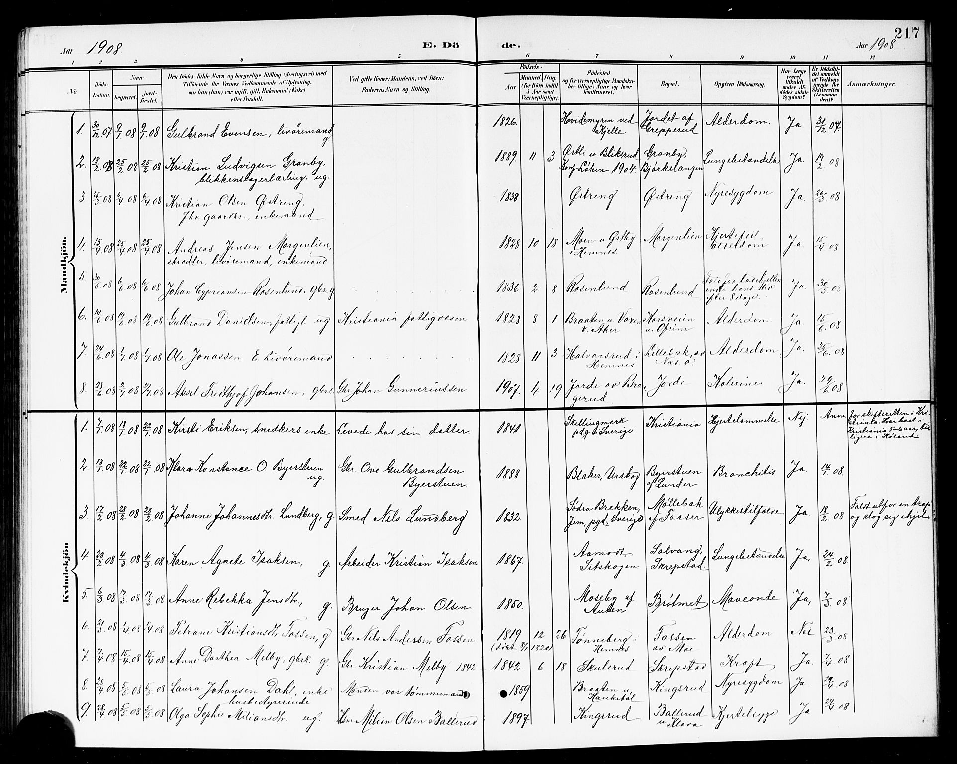 Høland prestekontor Kirkebøker, AV/SAO-A-10346a/G/Ga/L0007: Klokkerbok nr. I 7, 1902-1914, s. 217
