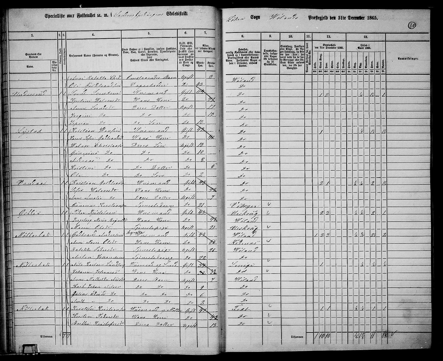 RA, Folketelling 1865 for 0221P Høland prestegjeld, 1865, s. 30