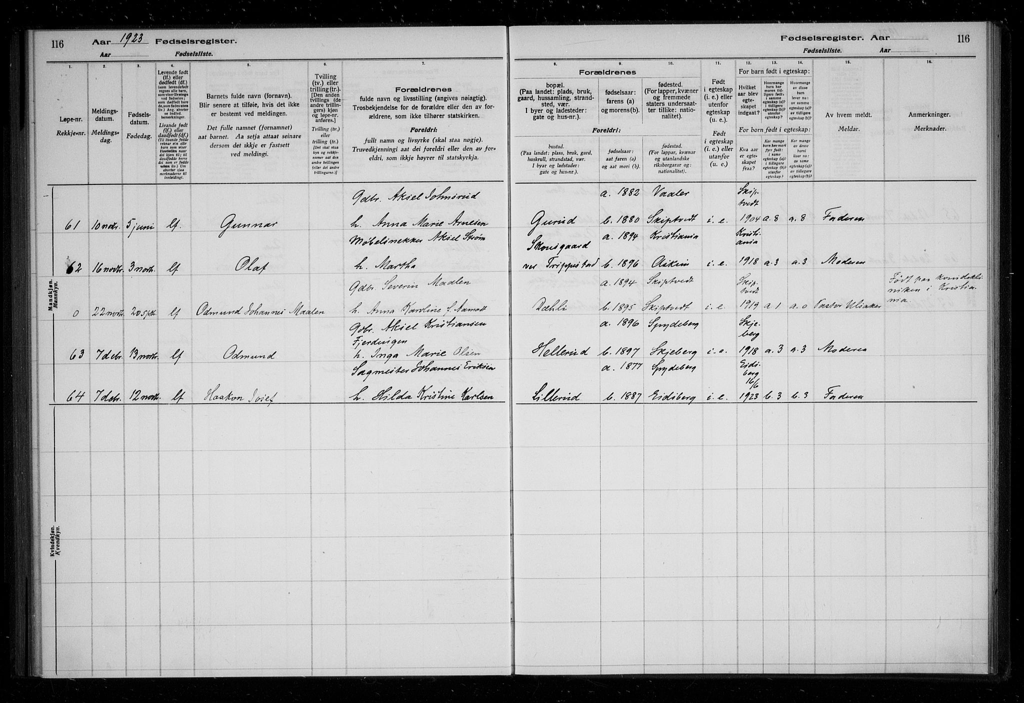 Askim prestekontor Kirkebøker, AV/SAO-A-10900/J/Ja/L0001: Fødselsregister nr. 1, 1916-1929, s. 116