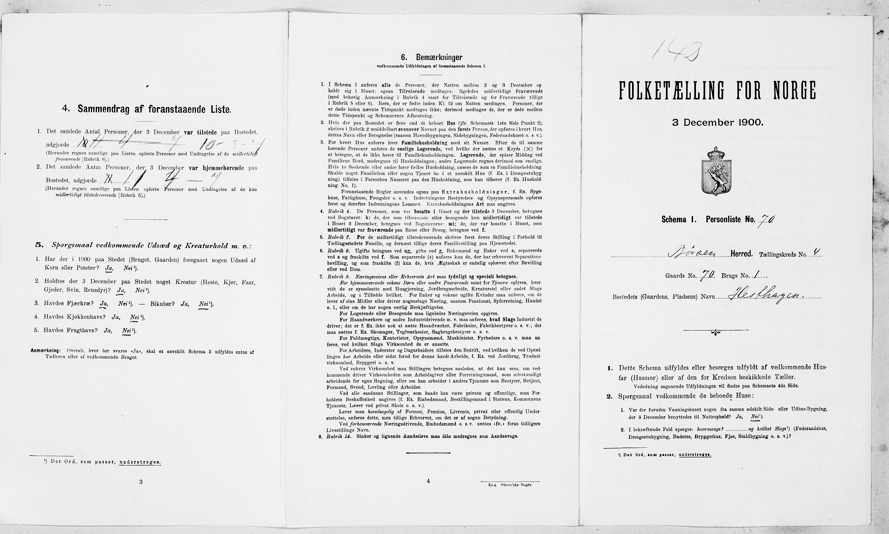 SAT, Folketelling 1900 for 1658 Børsa herred, 1900, s. 527