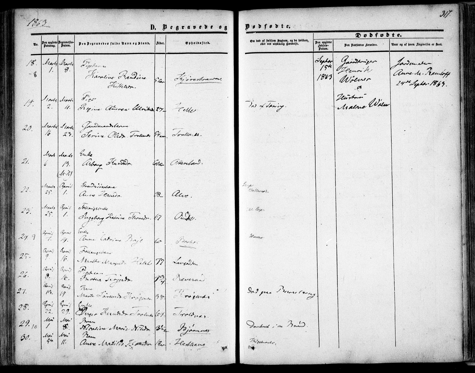 Tromøy sokneprestkontor, AV/SAK-1111-0041/F/Fa/L0006: Ministerialbok nr. A 6, 1855-1863, s. 317