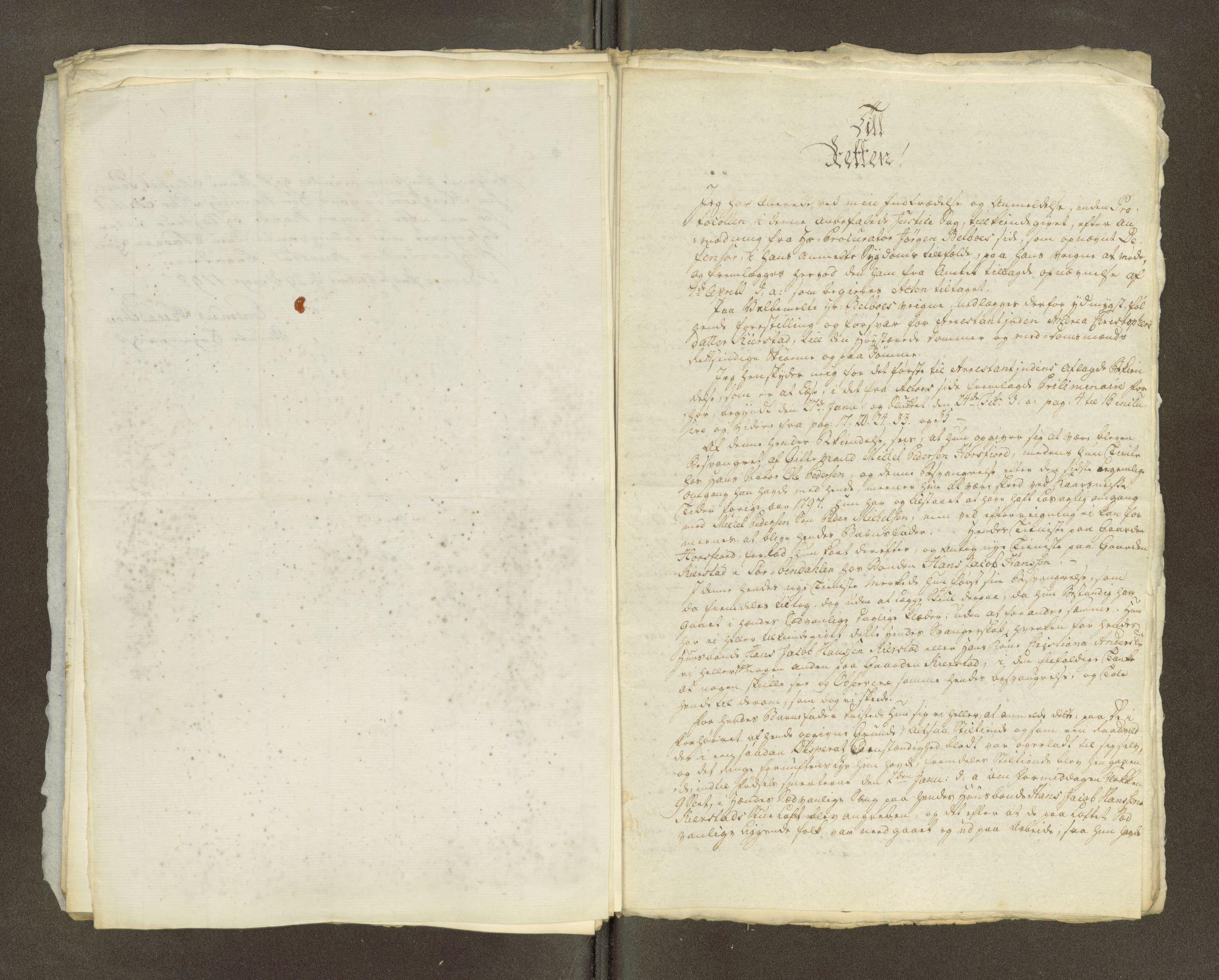 Namdal sorenskriveri, AV/SAT-A-4133/1/1/1O/1Oa/L0007: Sivile og offentlige saker, 1798, s. 22