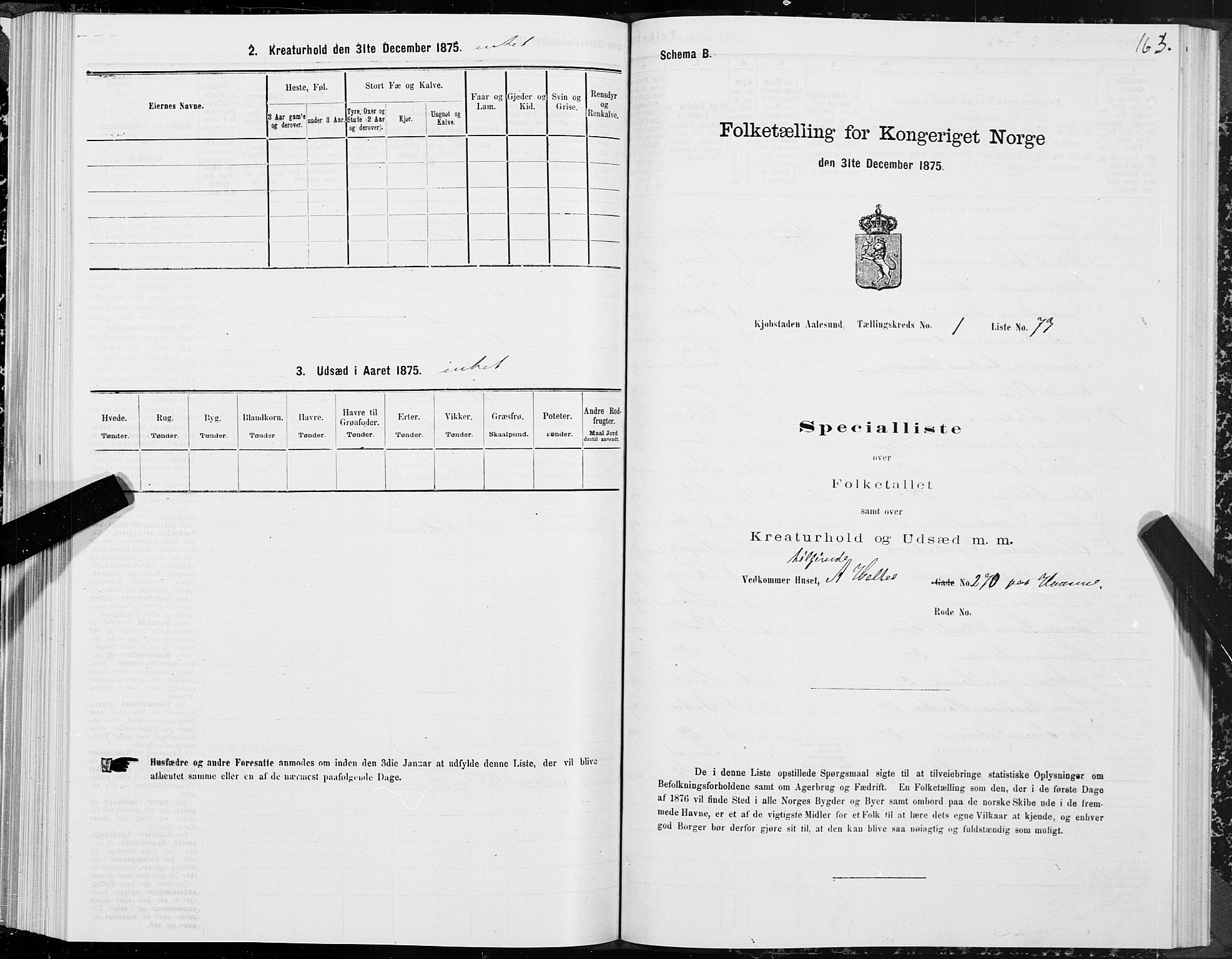 SAT, Folketelling 1875 for 1501P Ålesund prestegjeld, 1875, s. 1163