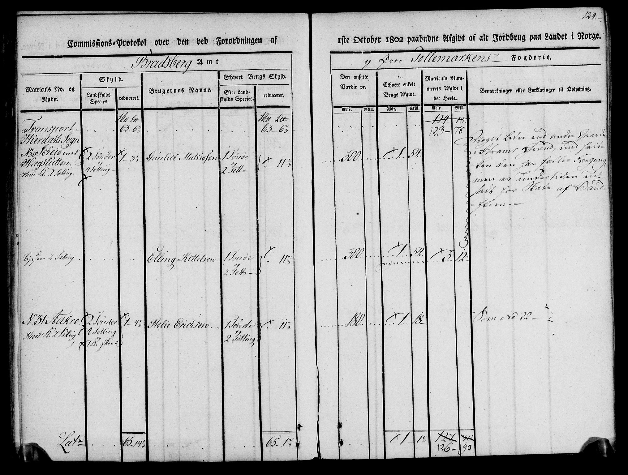 Rentekammeret inntil 1814, Realistisk ordnet avdeling, AV/RA-EA-4070/N/Ne/Nea/L0074: Øvre Telemarken fogderi. Kommisjonsprotokoll for fogderiets østre del - Tinn, Hjartdal og Seljord prestegjeld., 1803, s. 124