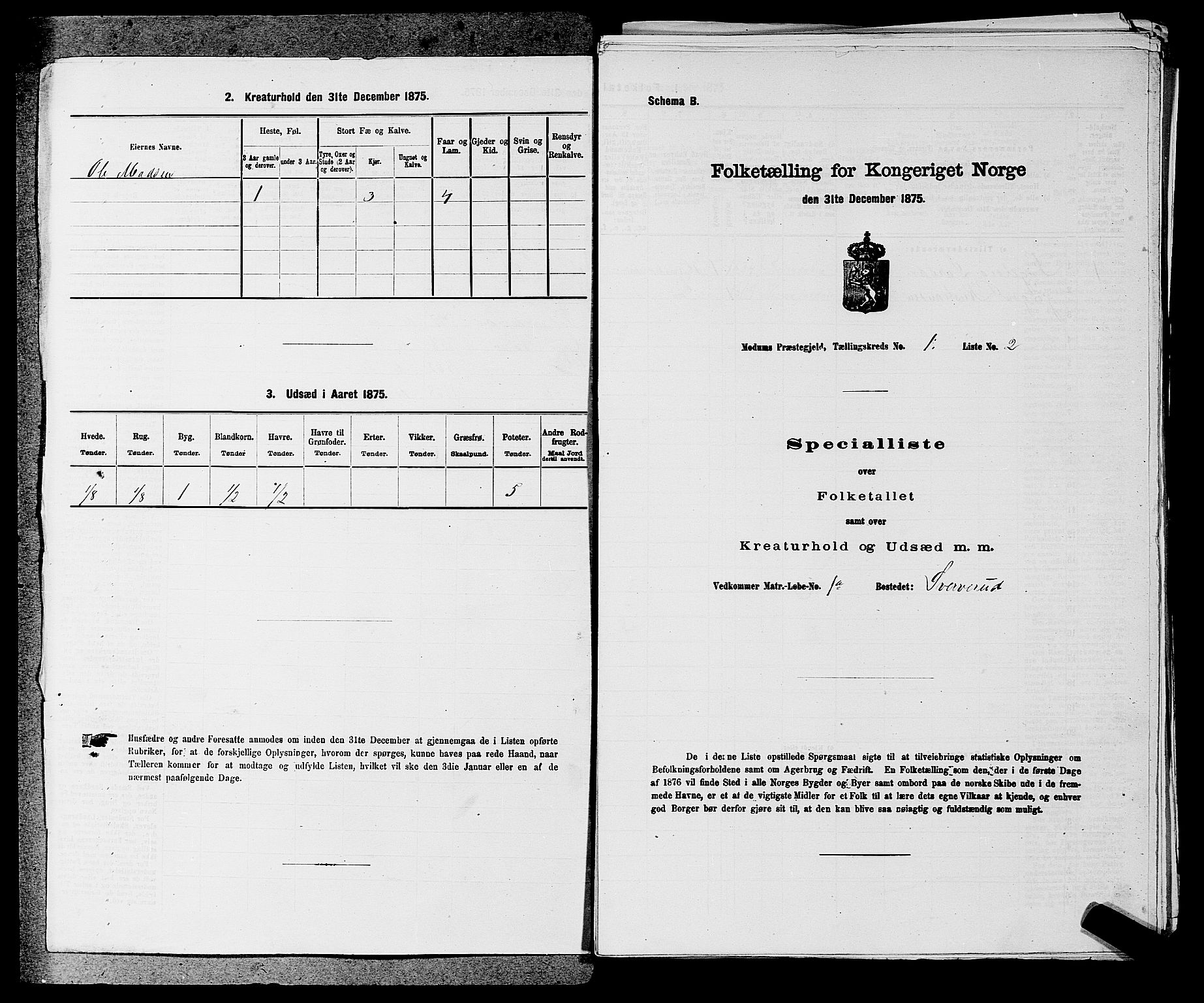 SAKO, Folketelling 1875 for 0623P Modum prestegjeld, 1875, s. 110