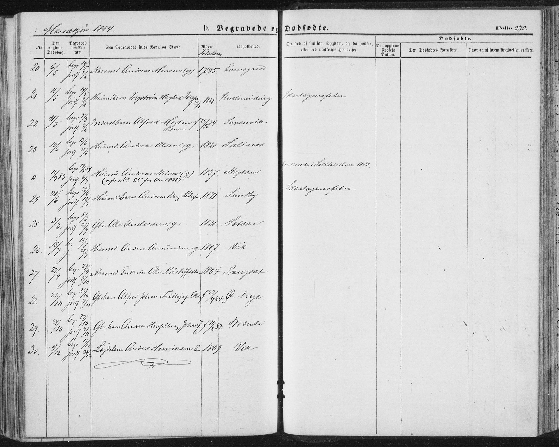 Ministerialprotokoller, klokkerbøker og fødselsregistre - Nordland, AV/SAT-A-1459/847/L0668: Ministerialbok nr. 847A08, 1872-1886, s. 270